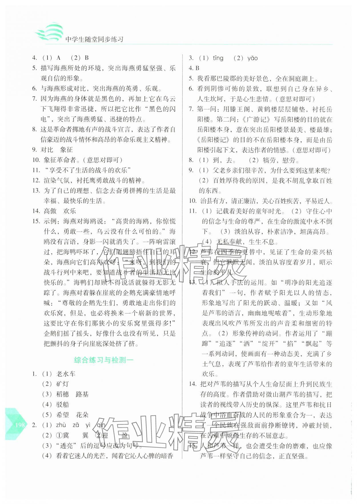 2025年随堂同步练习九年级语文下册人教版 参考答案第3页