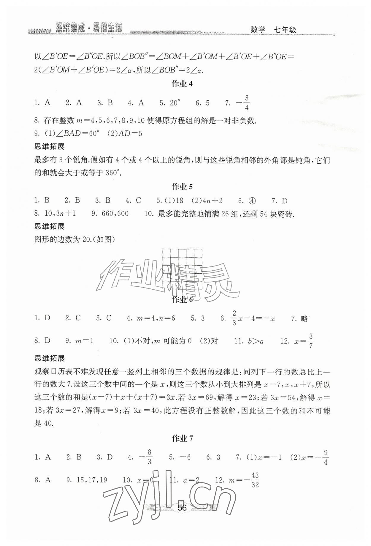 2026年系统集成暑假生活北京师范大学出版社七年级数学全一册通用版&nbsp;第2页