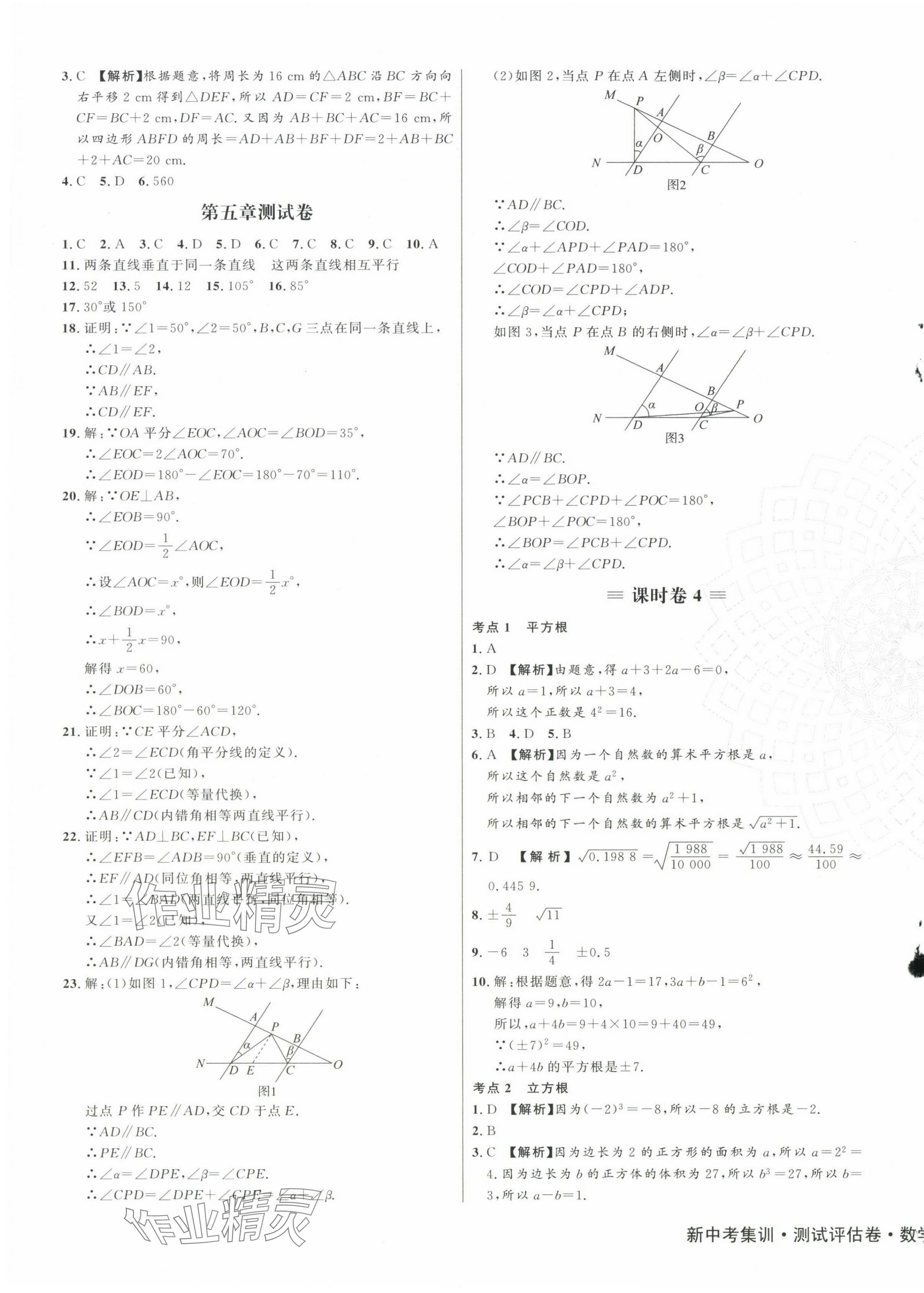 2024年新中考集訓測試評估卷七年級數學下冊人教版 第3頁