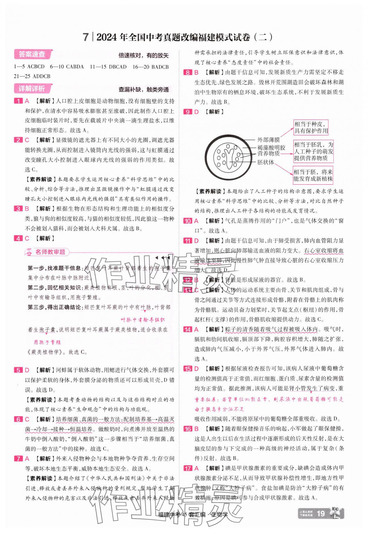 2025年金考卷福建中考45套匯編八年級生物 參考答案第19頁