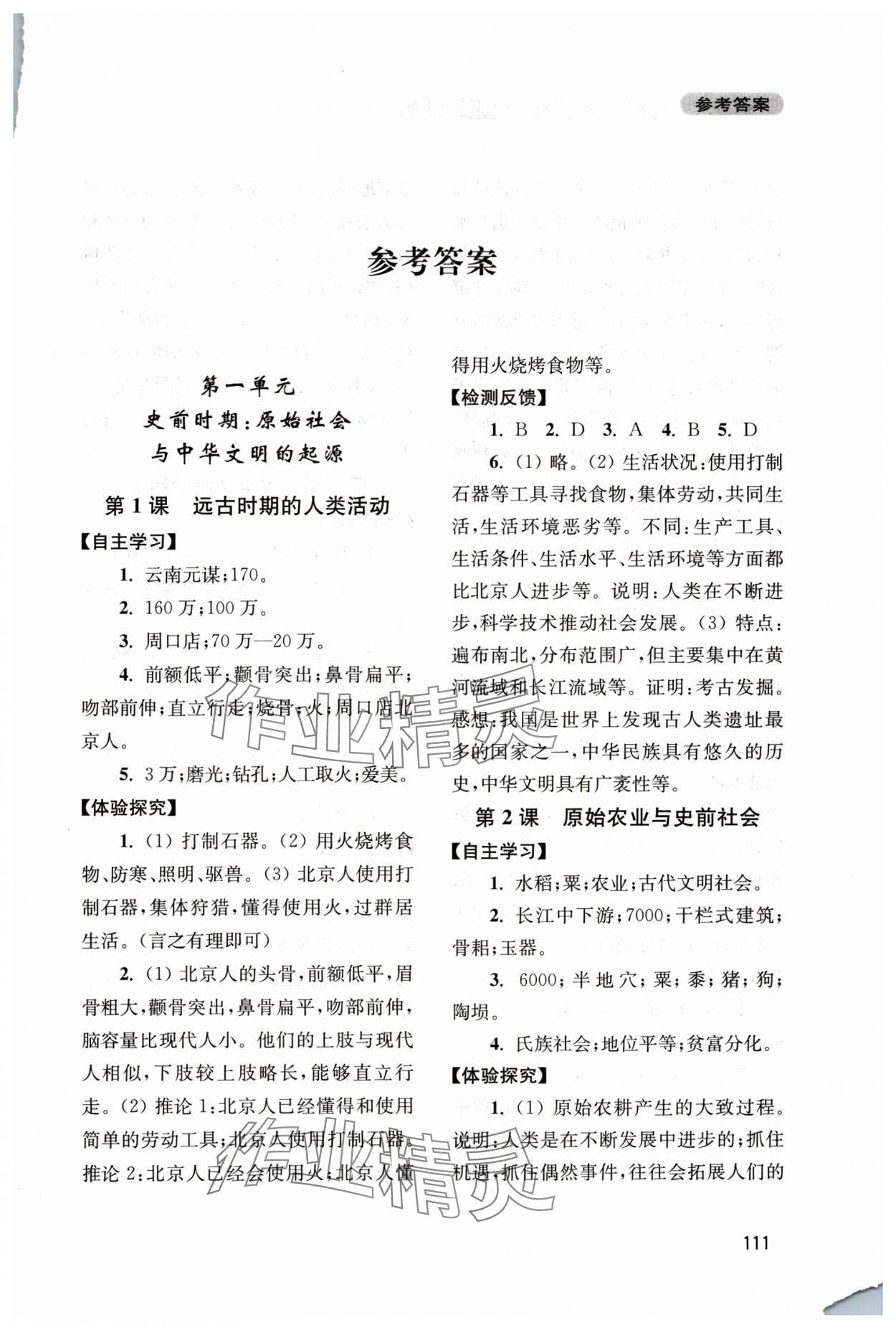 2025年新课程实践与探究丛书七年级历史上册人教版江苏专版 第1页