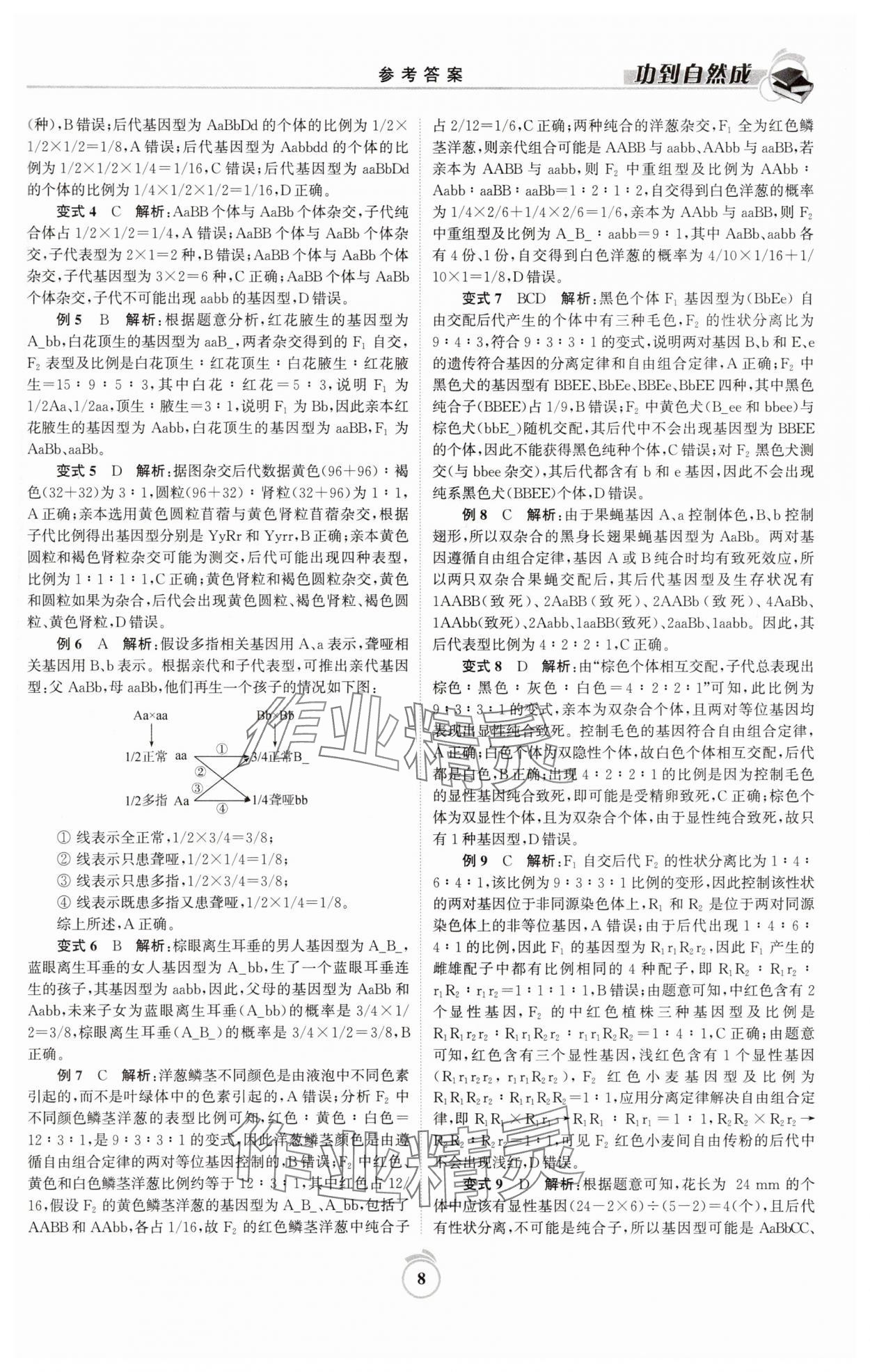 2025年功到自然成高中生物必修2蘇教版 參考答案第8頁