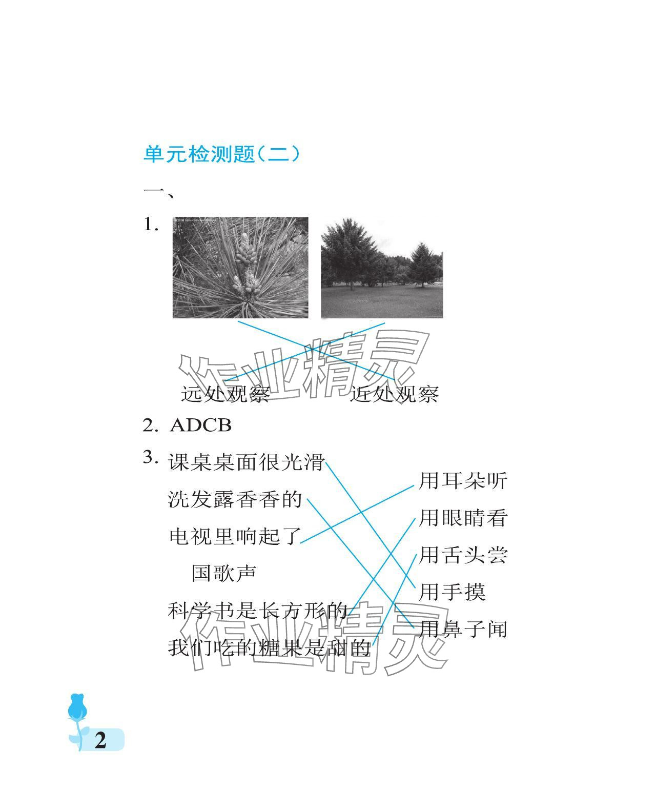 2024年行知天下一年级科学上册青岛版 参考答案第2页