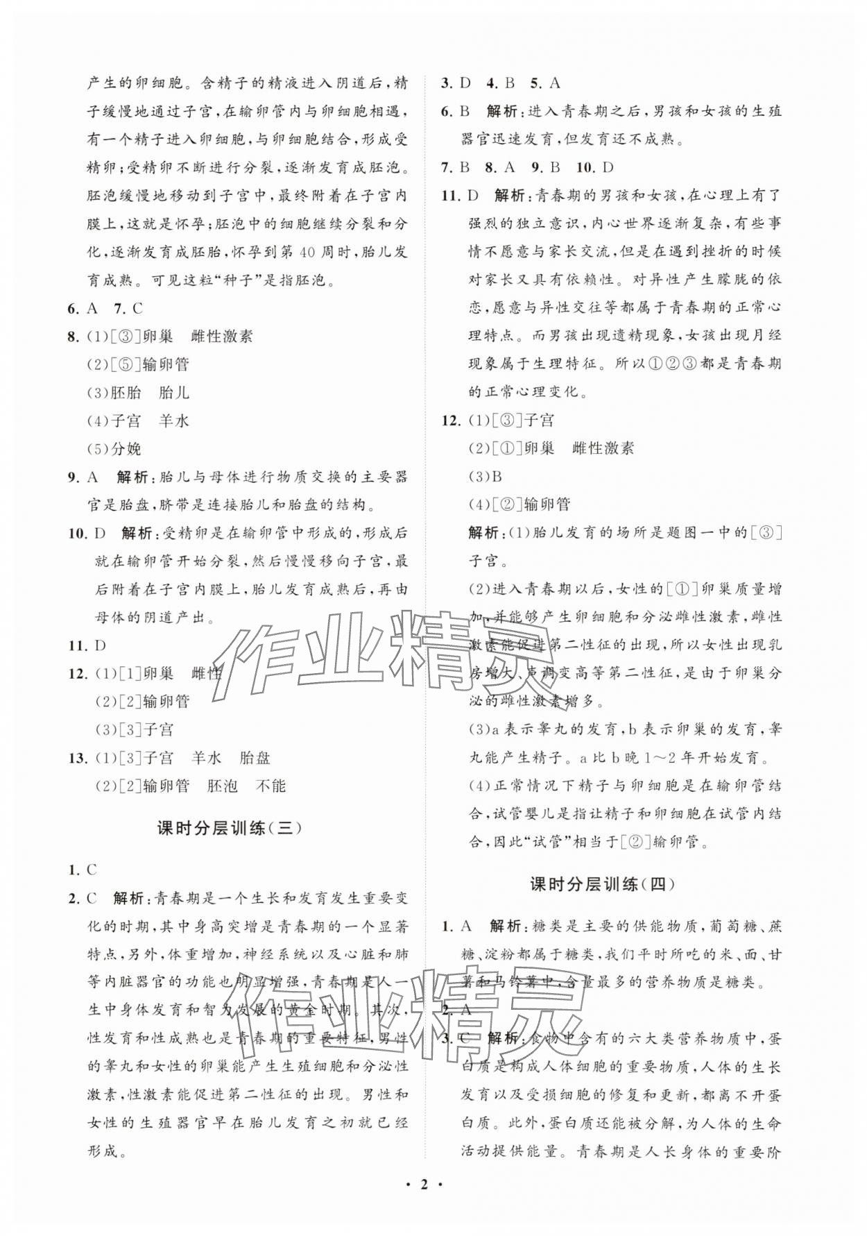 2024年同步練習(xí)冊(cè)分層卷七年級(jí)生物上冊(cè)魯科版54制 參考答案第2頁(yè)