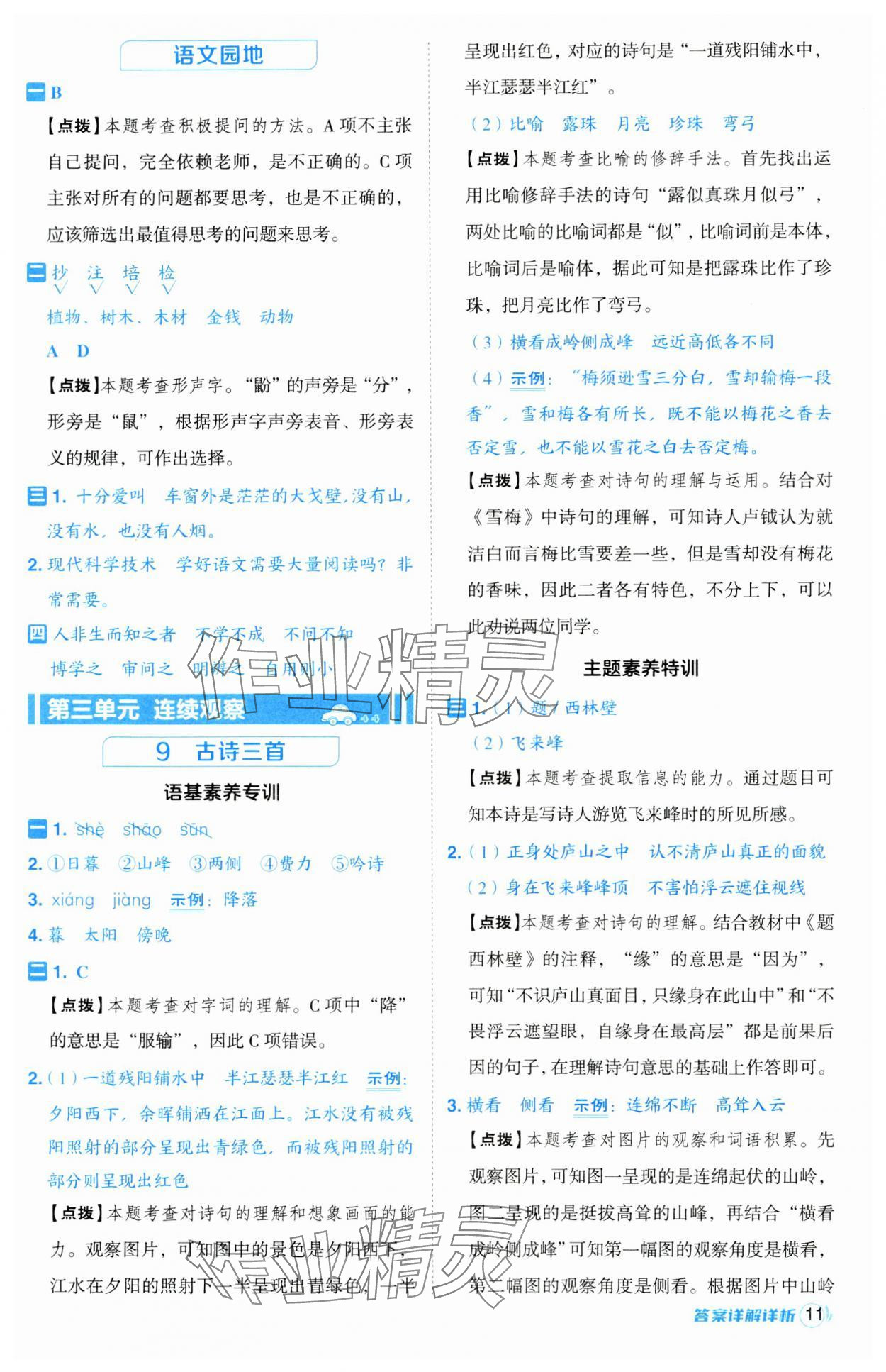 2024年綜合應用創(chuàng)新題典中點四年級語文上冊人教版江蘇專版 第11頁