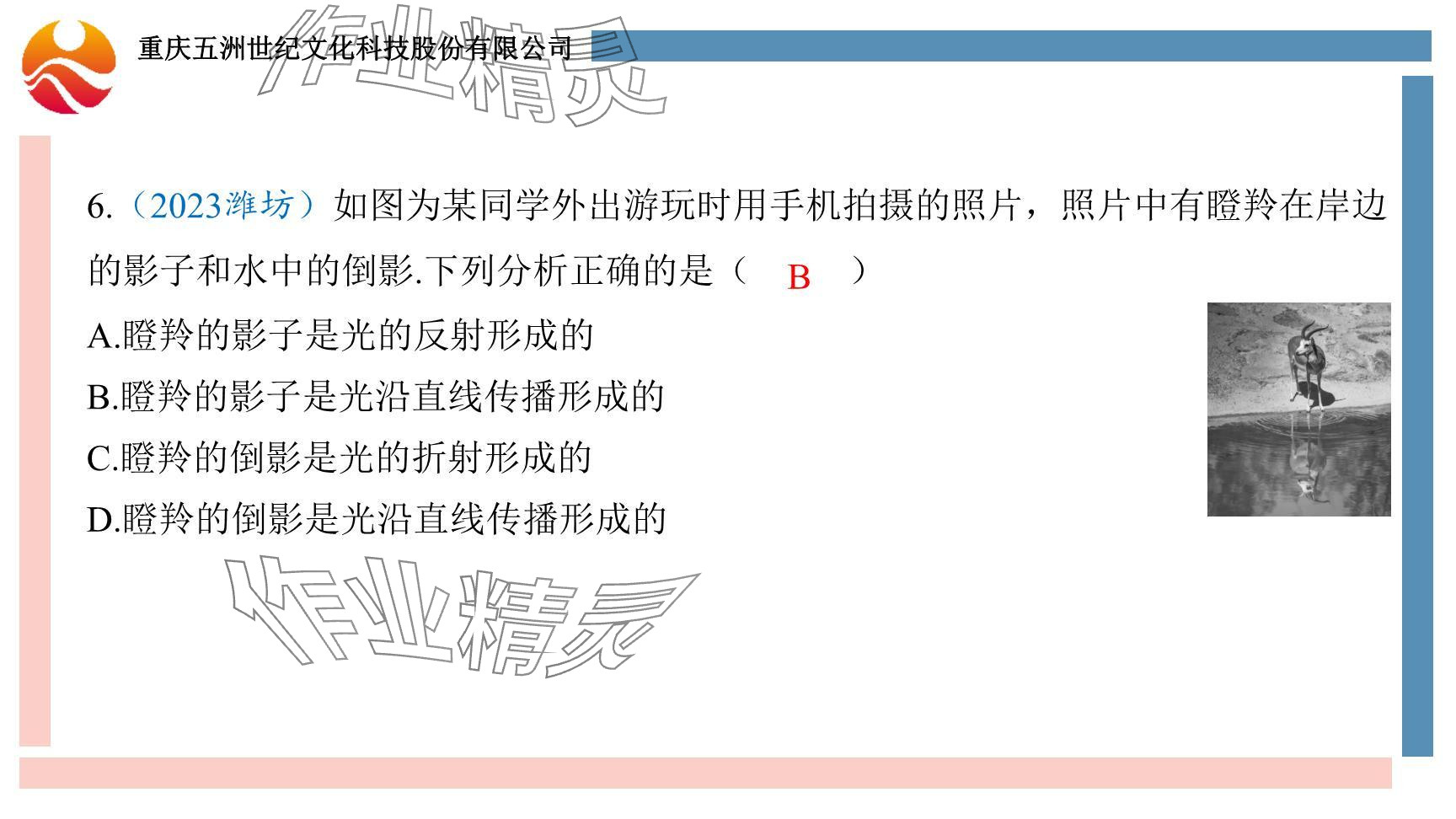 2024年重慶市中考試題分析與復(fù)習(xí)指導(dǎo)物理 參考答案第84頁(yè)