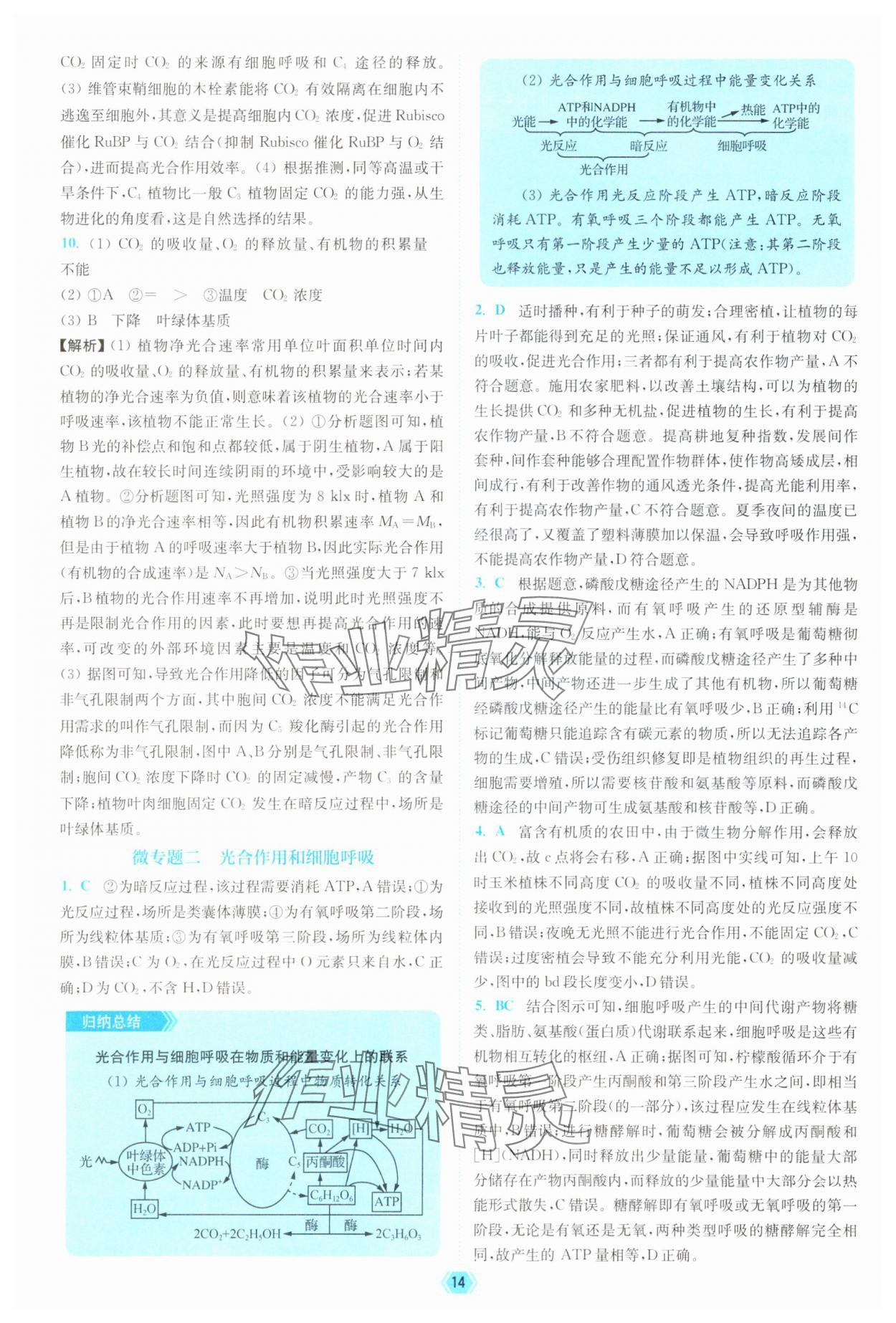 2025年南通小題天天練高中生物&nbsp;參考答案第14頁