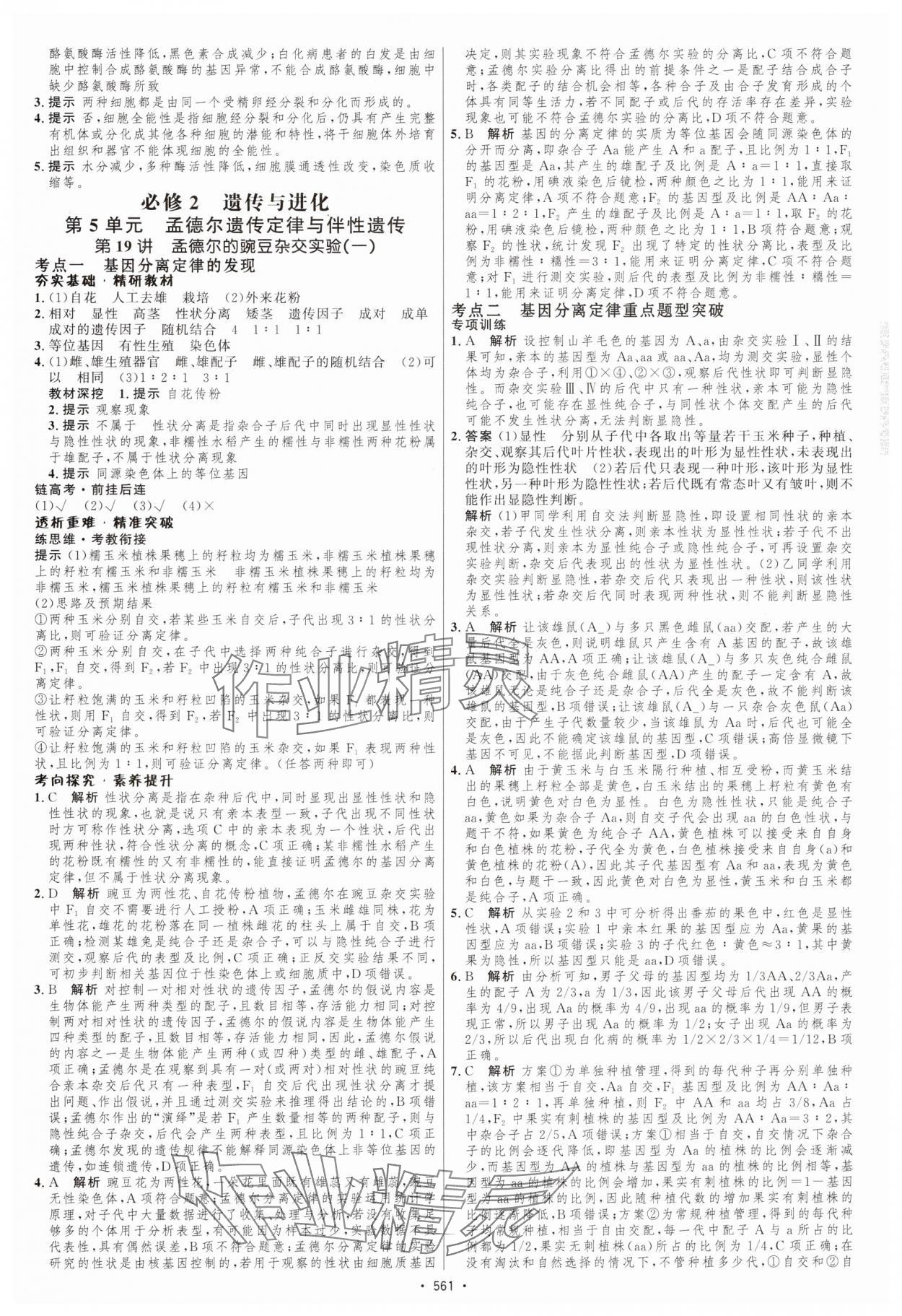 2025年高考總復(fù)習(xí)優(yōu)化設(shè)計高中生物人教版 第19頁