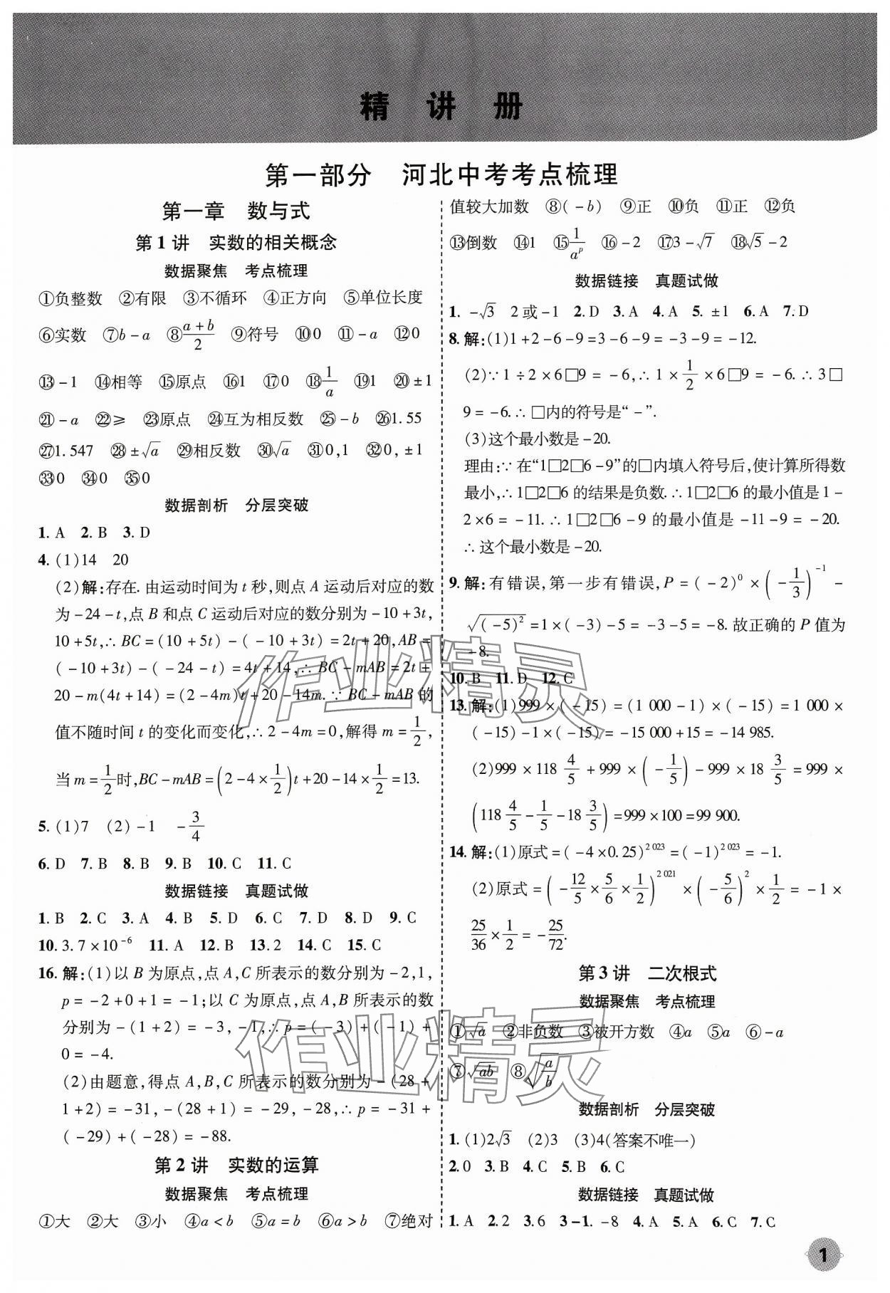 2024年中考大數據數學河北專版 參考答案第1頁