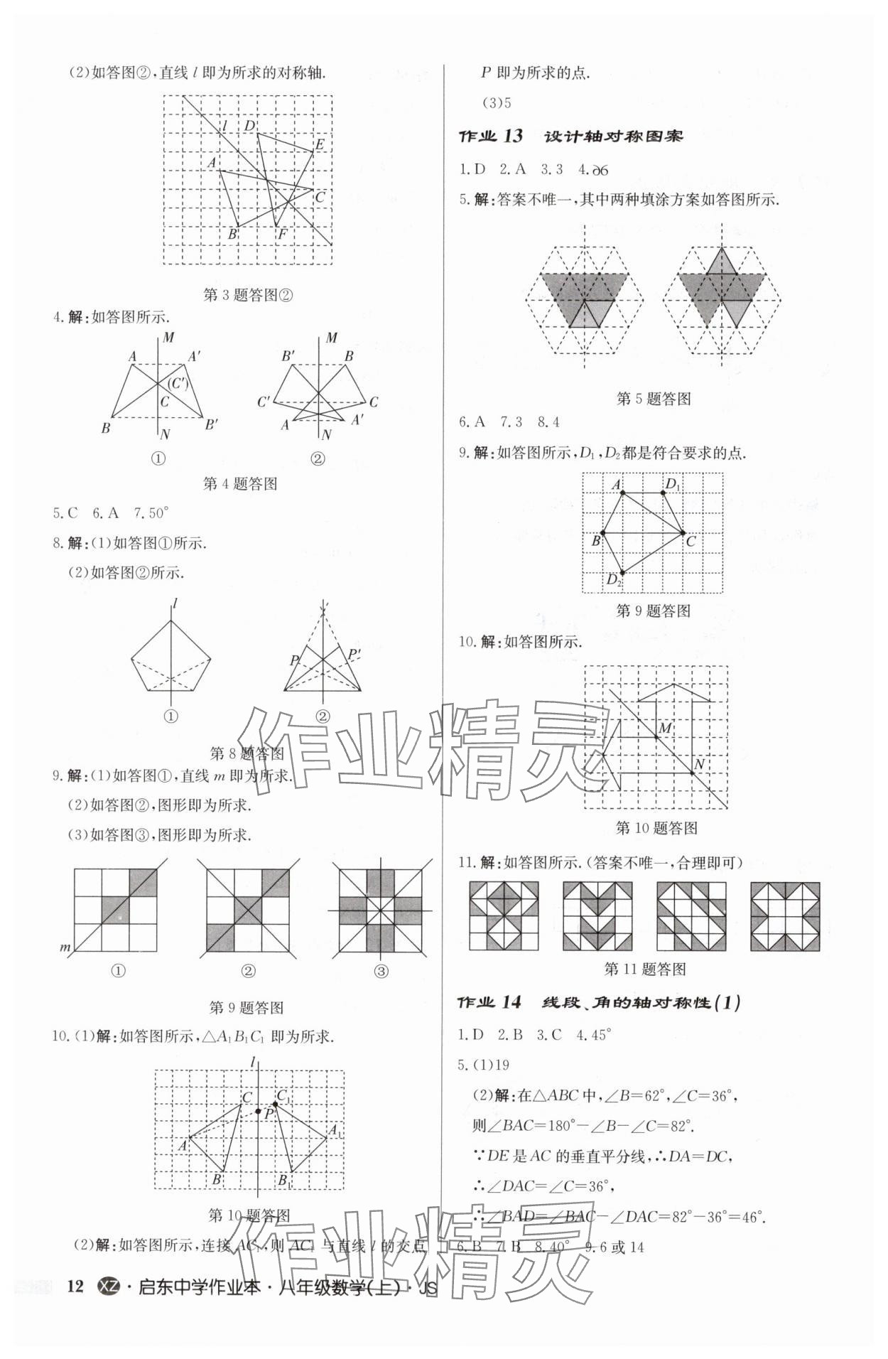 2024年启东中学作业本八年级数学上册苏科版徐州专版 参考答案第12页