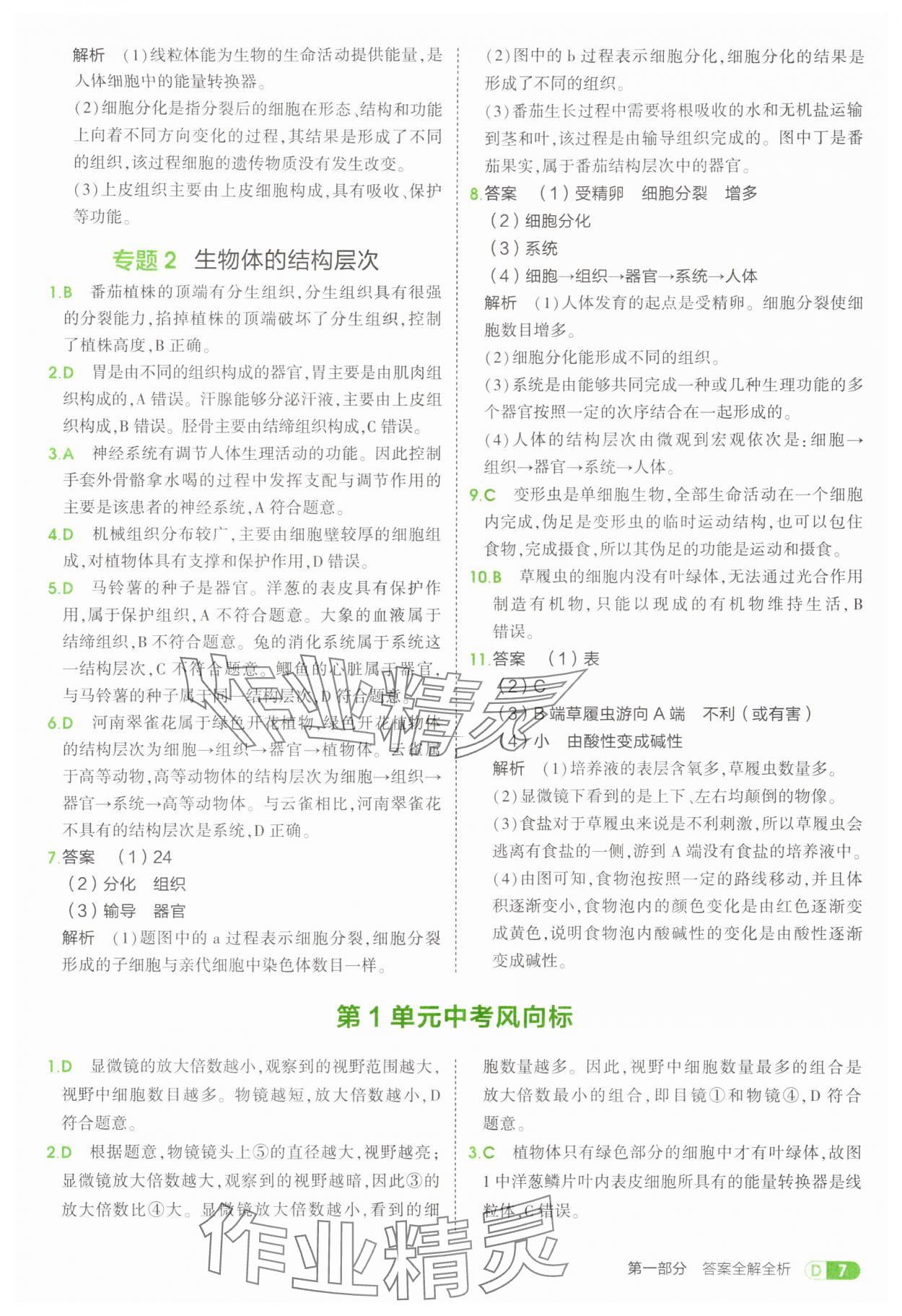 2025年5年中考3年模擬七年級(jí)生物上冊(cè)蘇教版 第7頁