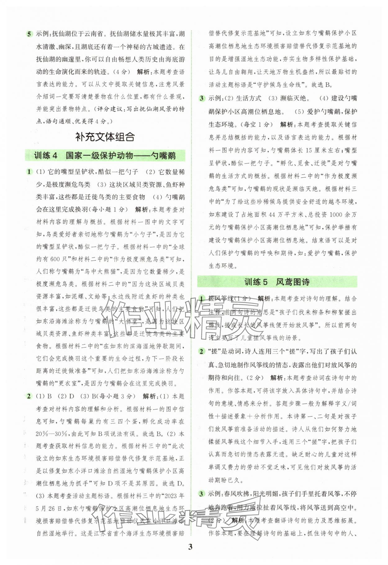 2025年通城學(xué)典組合訓(xùn)練六年級(jí)語文上冊(cè)人教版江蘇專版 第3頁