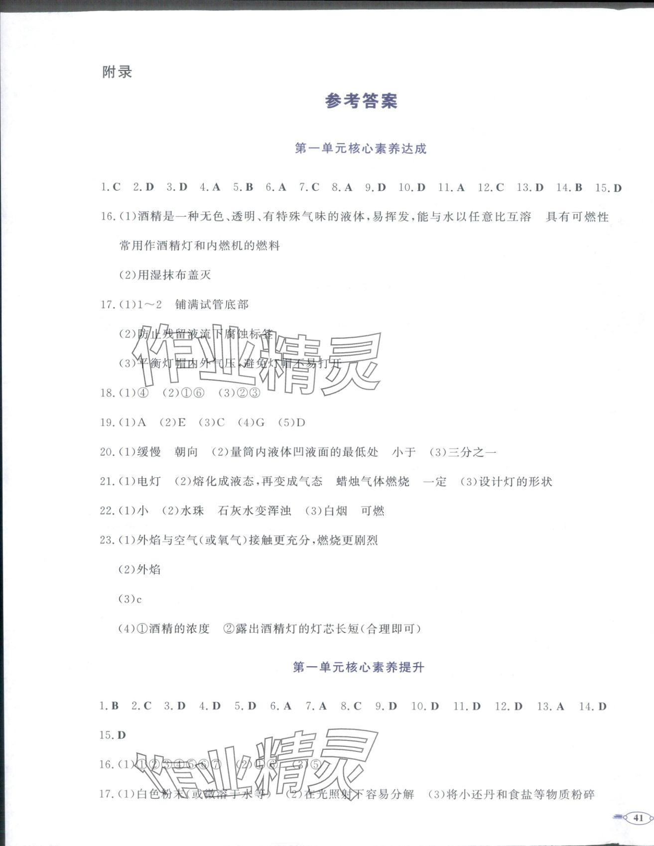 2025年同步优学核心素养评价九年级化学上册人教版 第1页