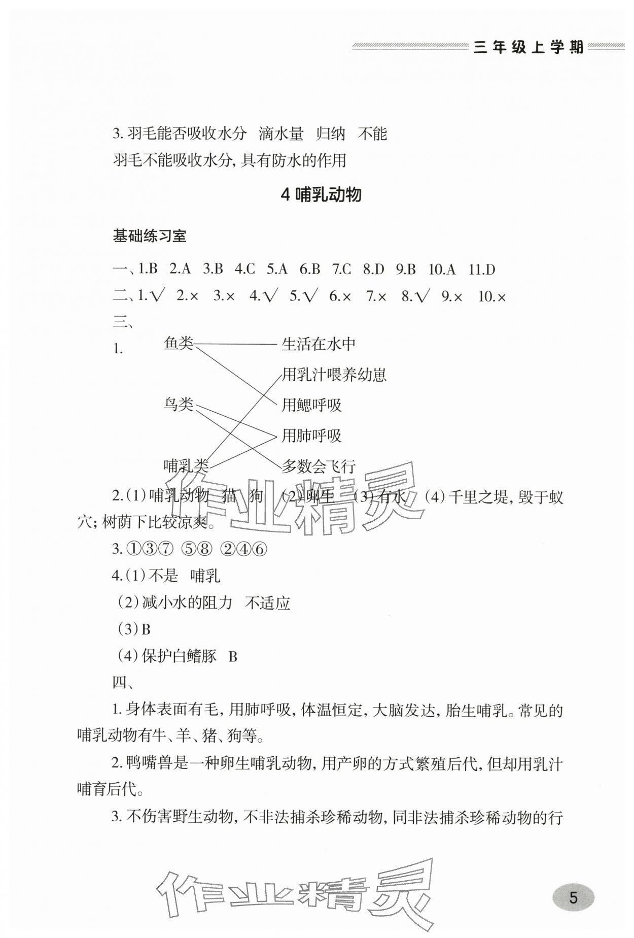 2025年新课堂学习与探究三年级科学上册青岛版&nbsp;第5页