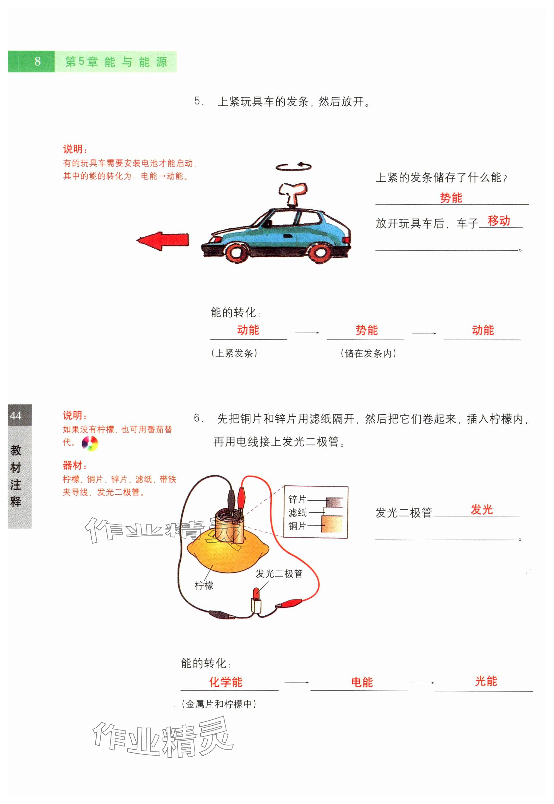 2024年教材課本六年級科學(xué)下冊滬教版五四制 參考答案第8頁