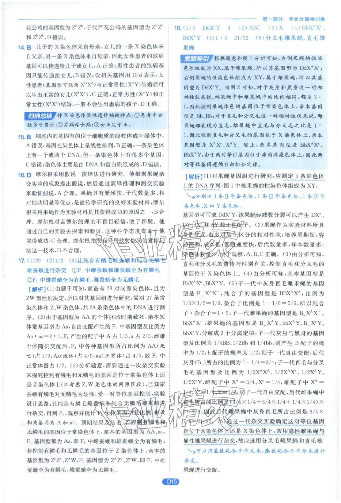 2026年实验班全优检测卷高中生物必修第二册苏教版&nbsp;第15页