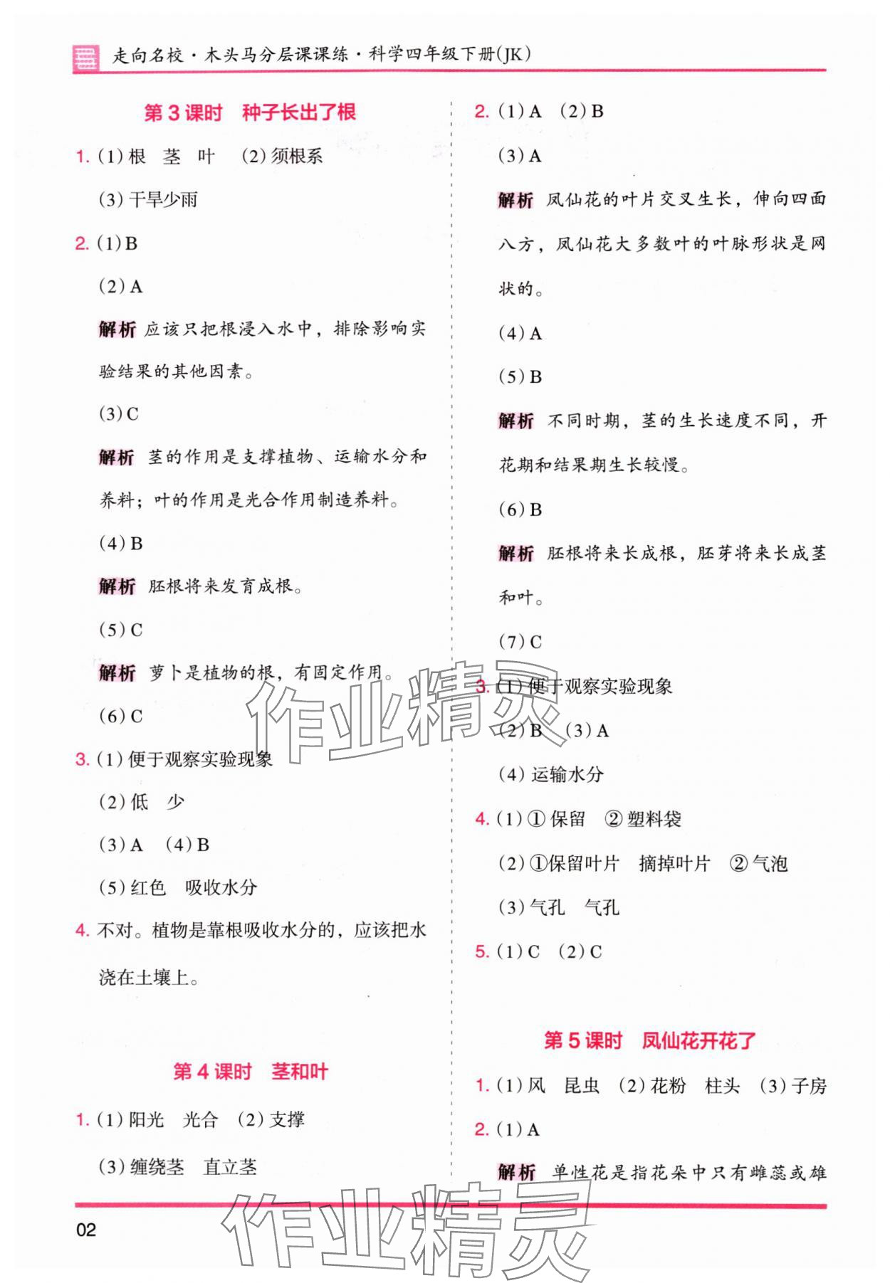 2024年木頭馬分層課課練四年級科學(xué)下冊教科版 參考答案第2頁