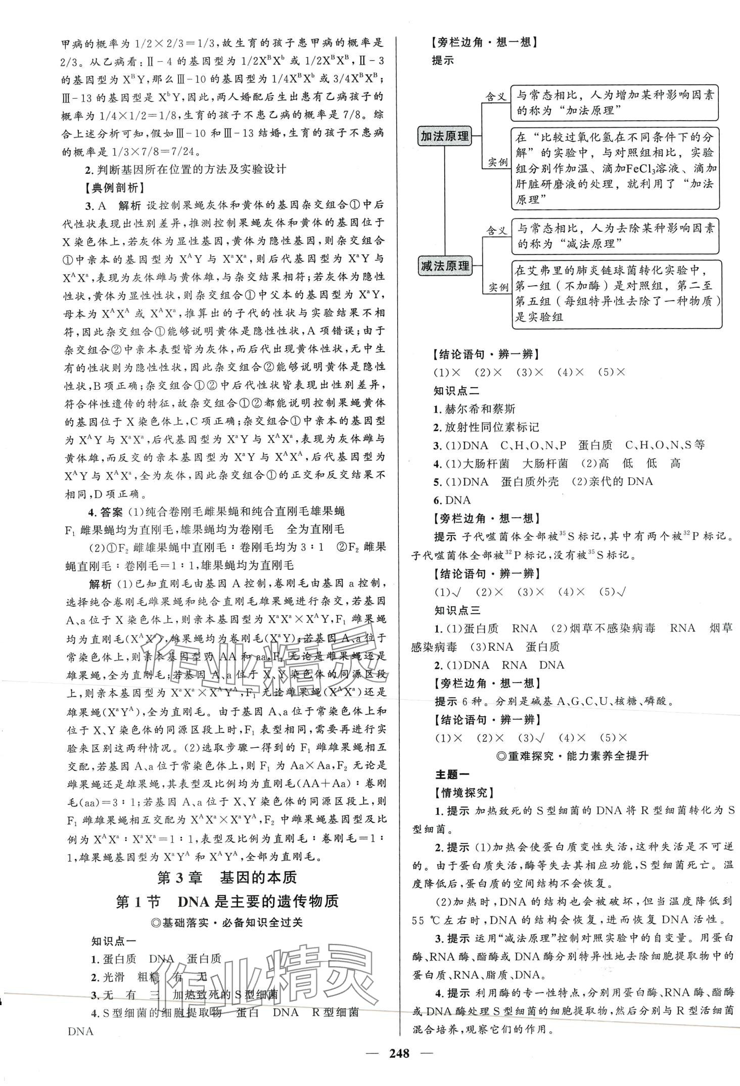 2024年高中同步學(xué)案優(yōu)化設(shè)計高中生物必修2人教版 第11頁