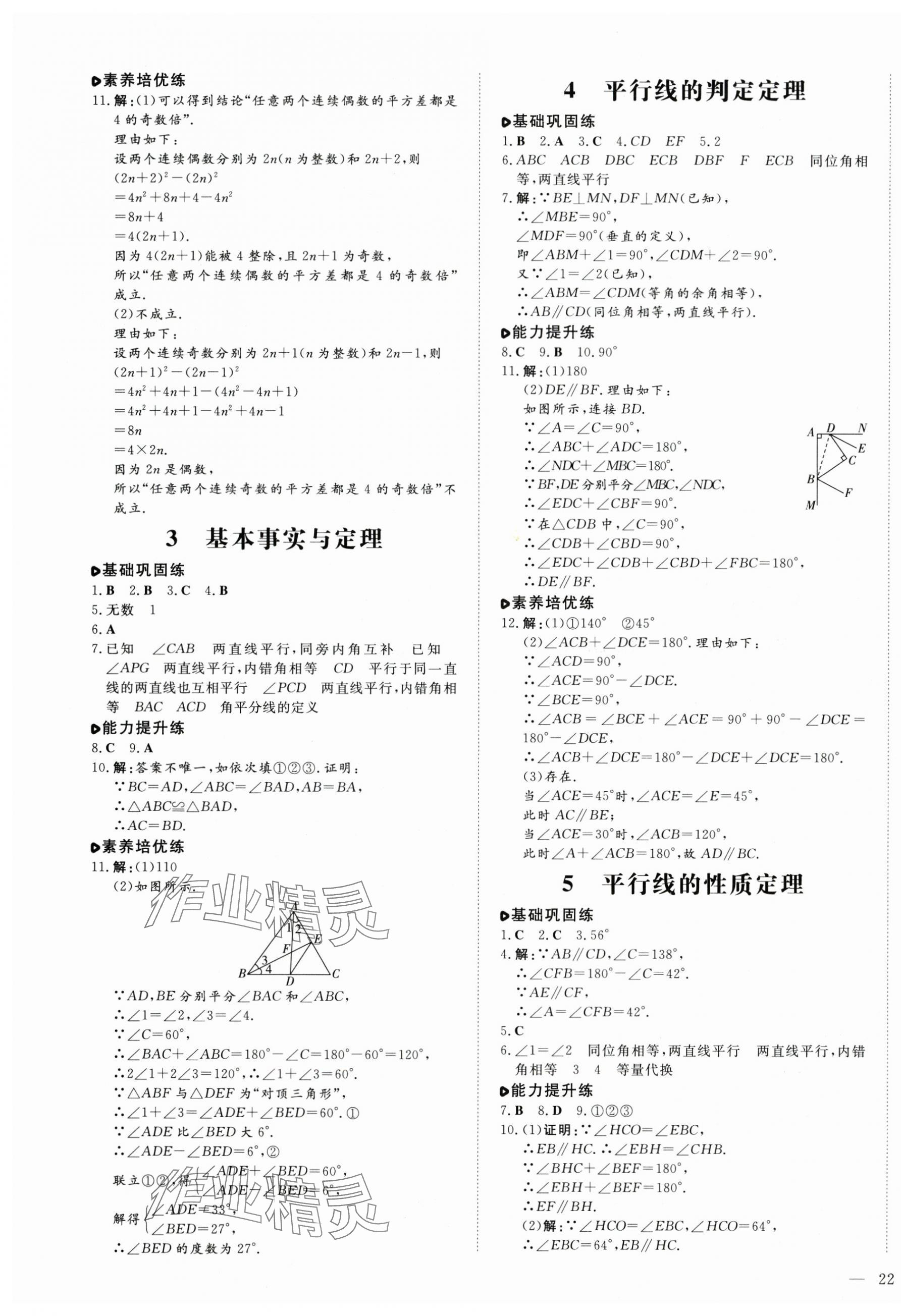 2025年练案七年级数学下册鲁教版54制 第7页