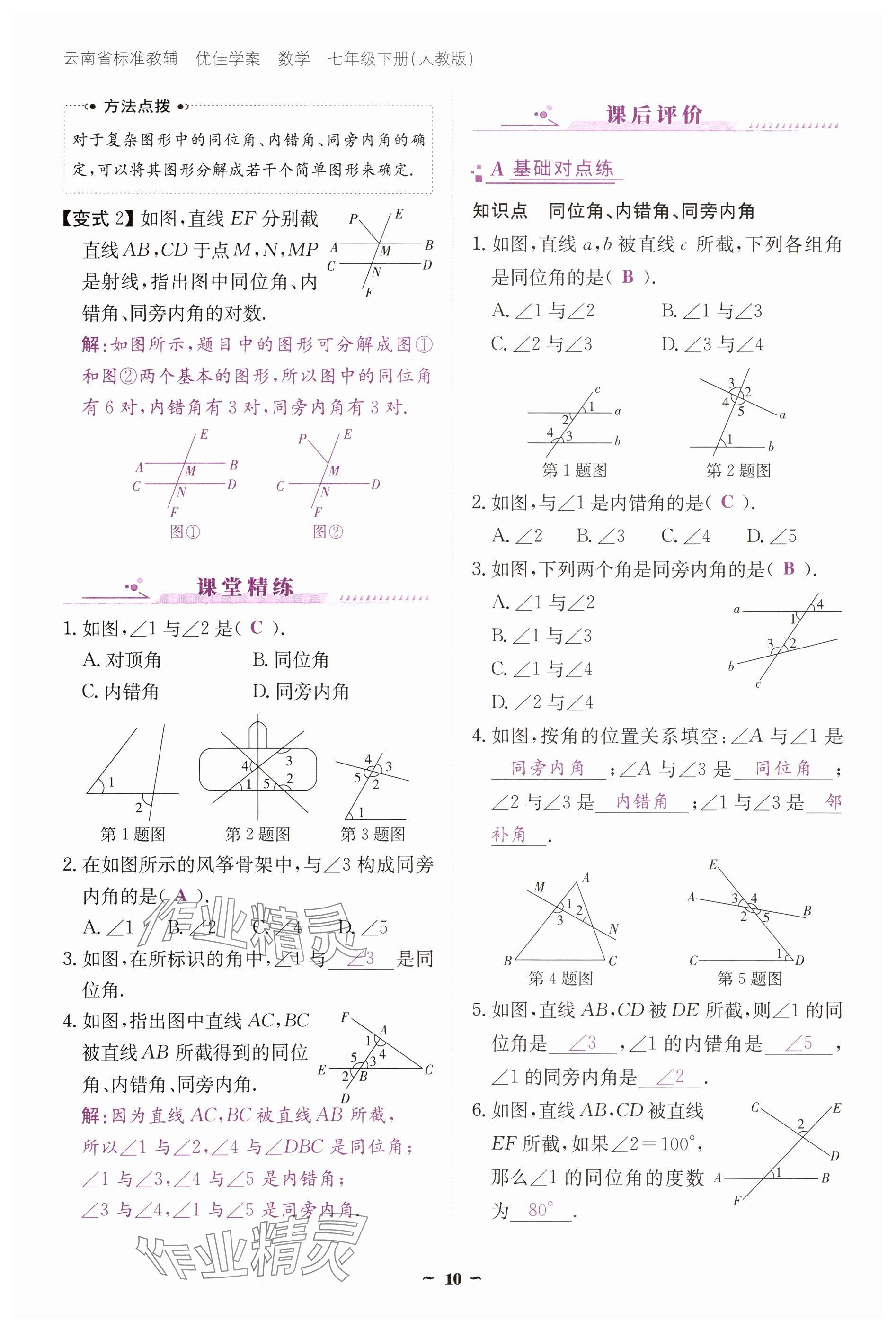 2025年云南省標(biāo)準(zhǔn)教輔優(yōu)佳學(xué)案七年級(jí)數(shù)學(xué)下冊(cè)人教版 參考答案第10頁(yè)