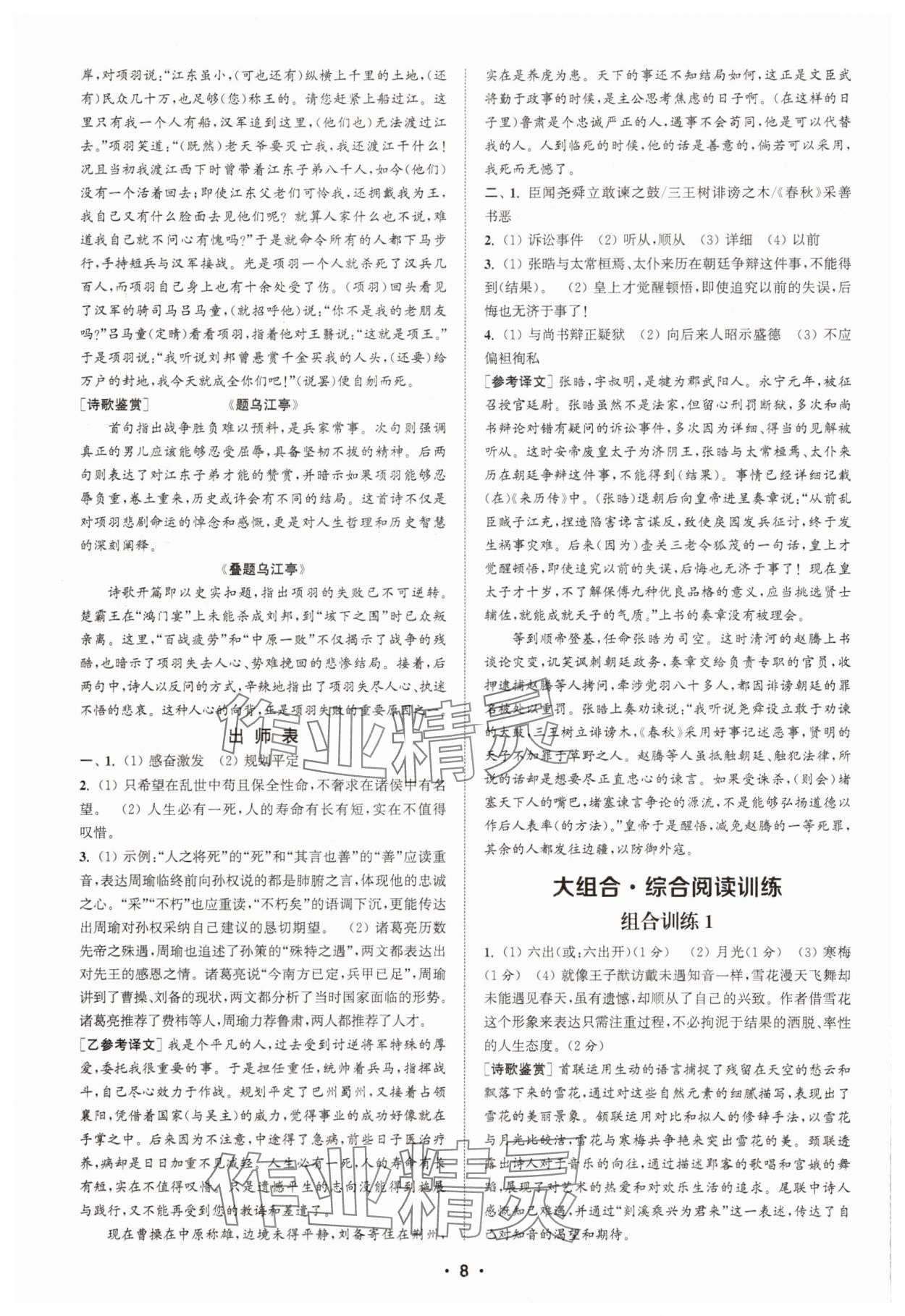 2025年通城學(xué)典組合訓(xùn)練九年級語文江蘇專版 第8頁