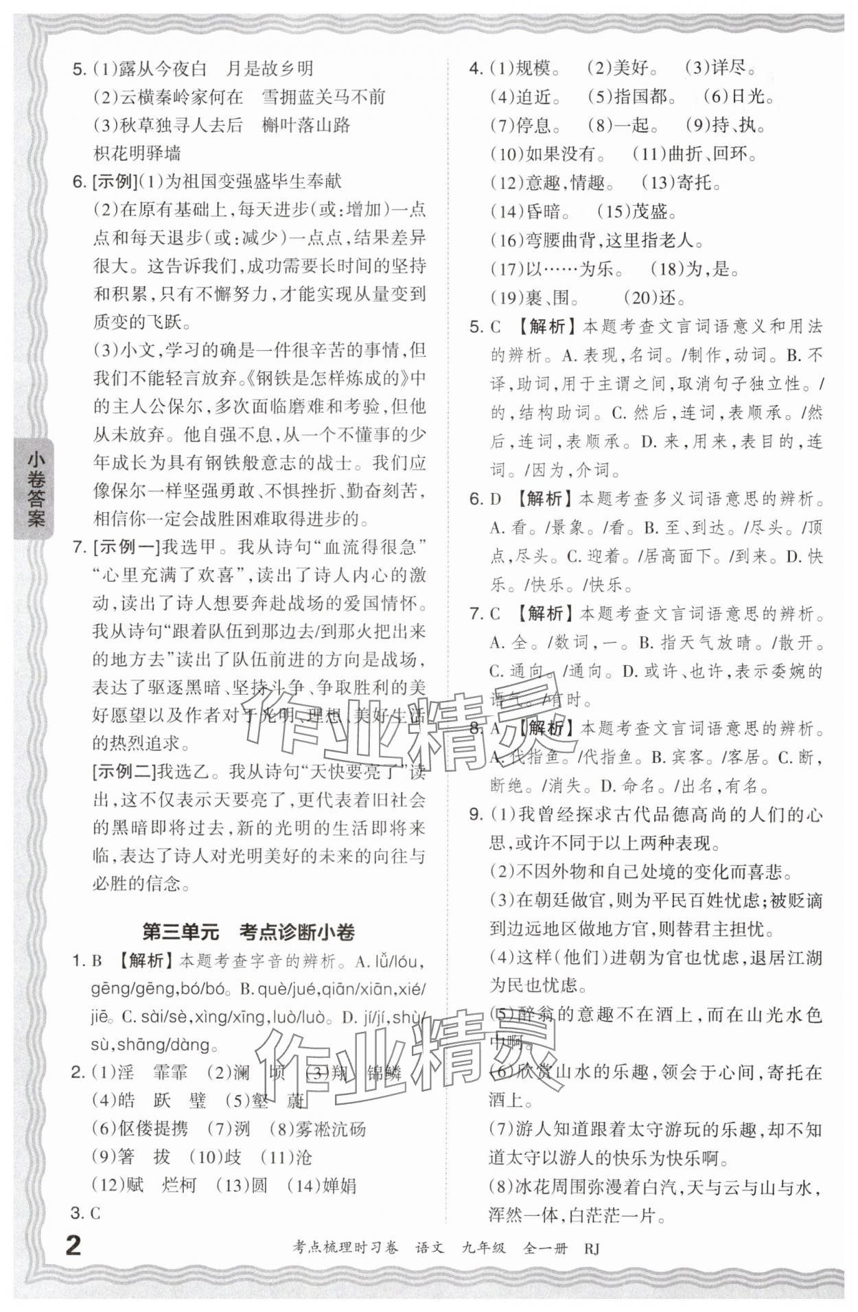 2024年王朝霞考點(diǎn)梳理時(shí)習(xí)卷九年級(jí)語(yǔ)文全一冊(cè)人教版 第2頁(yè)