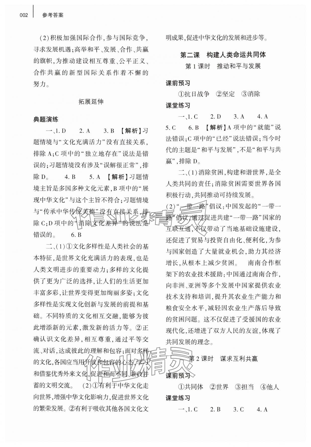 2025年基礎(chǔ)訓(xùn)練大象出版社九年級道德與法治下冊人教版 第2頁