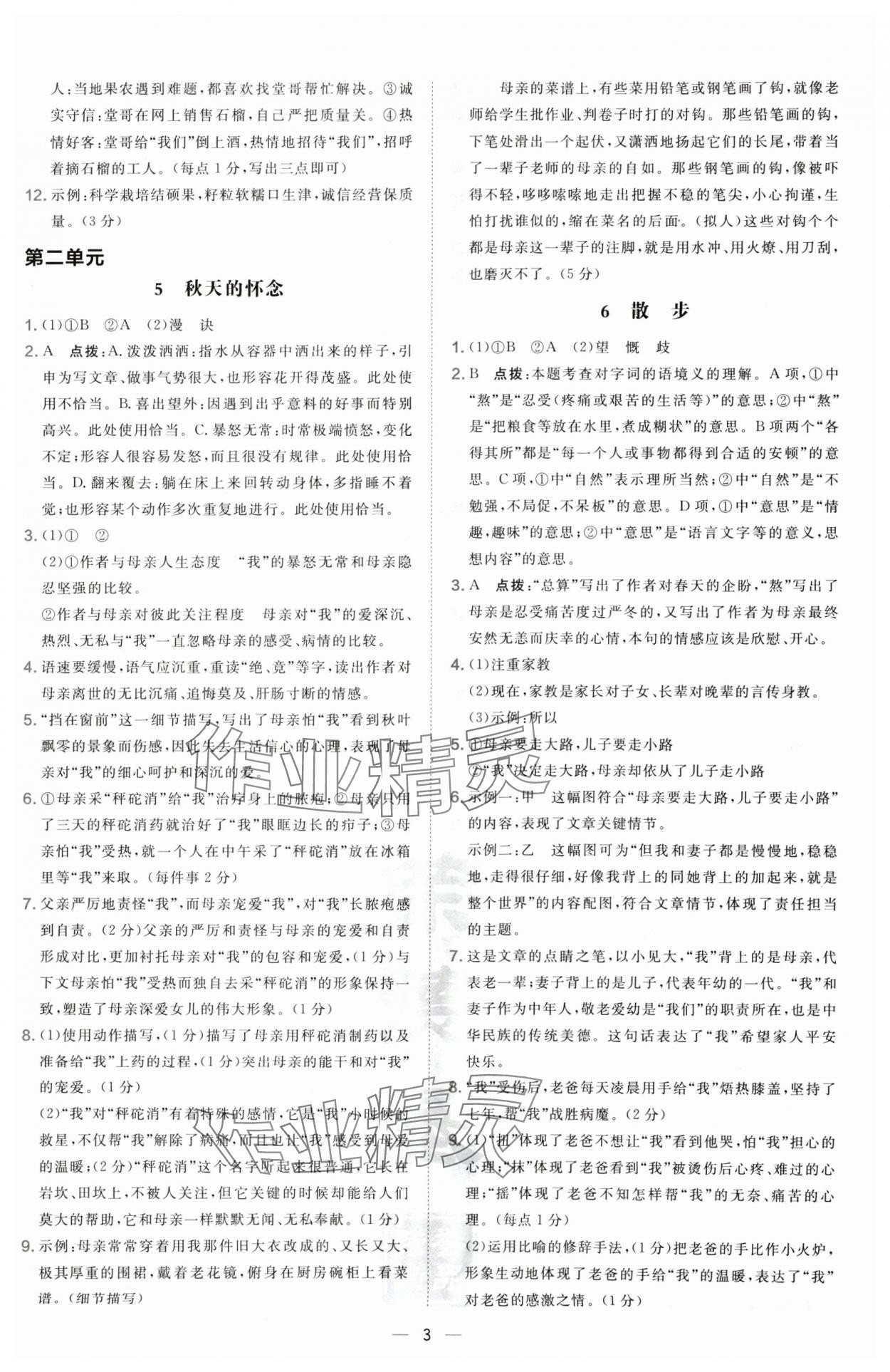 2024年點(diǎn)撥訓(xùn)練七年級語文上冊人教版寧夏專版 第3頁