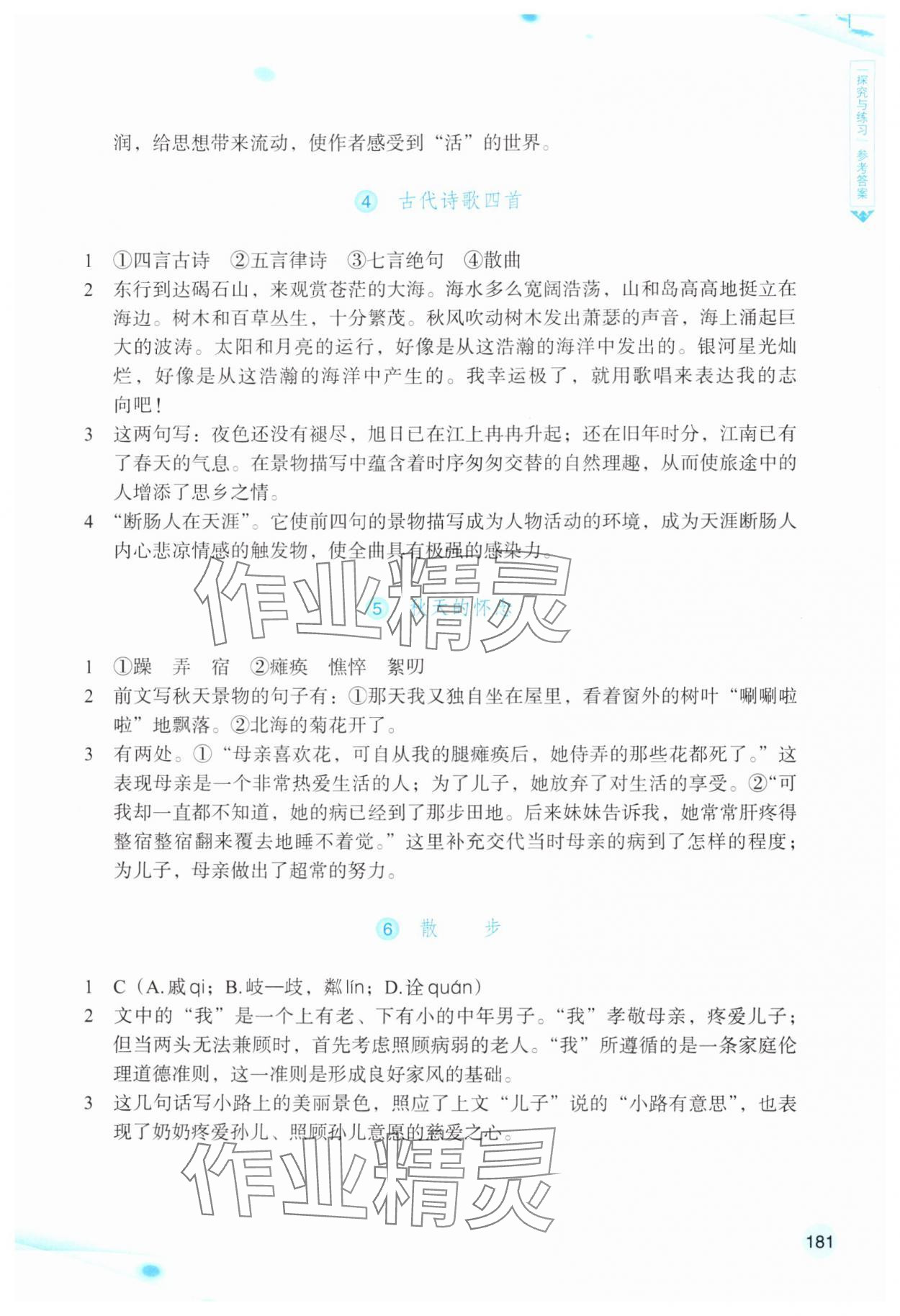 2025年语文词语手册浙江教育出版社七年级语文上册人教版双色版 参考答案第2页