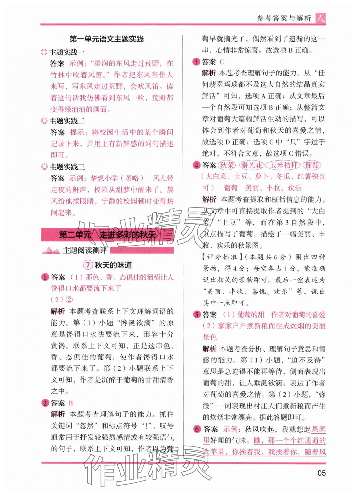 2024年木头马阅读力测评三年级语文上册人教版&nbsp;第5页