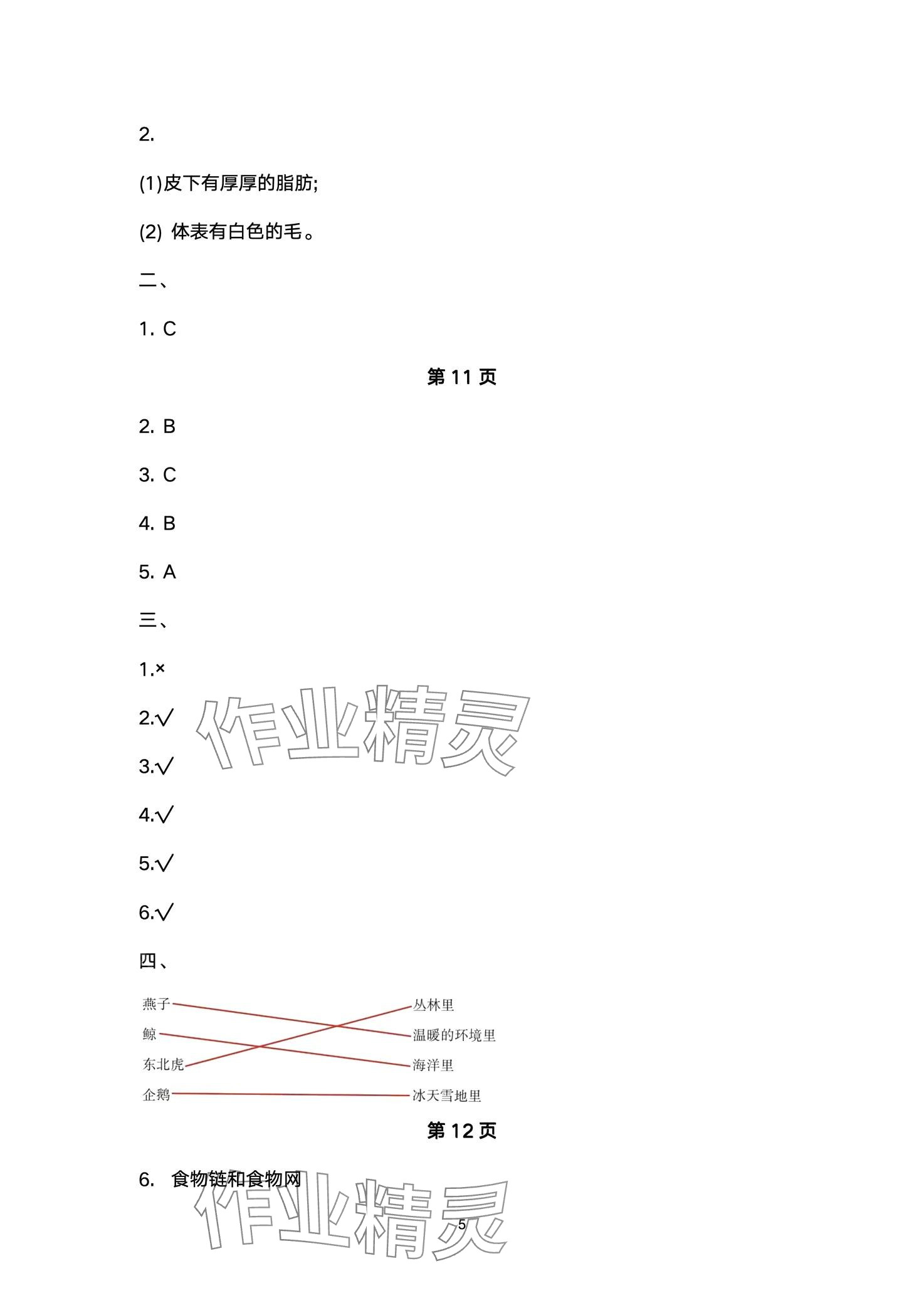 2024年云南省标准教辅同步指导训练与检测五年级科学下册教科版 第5页