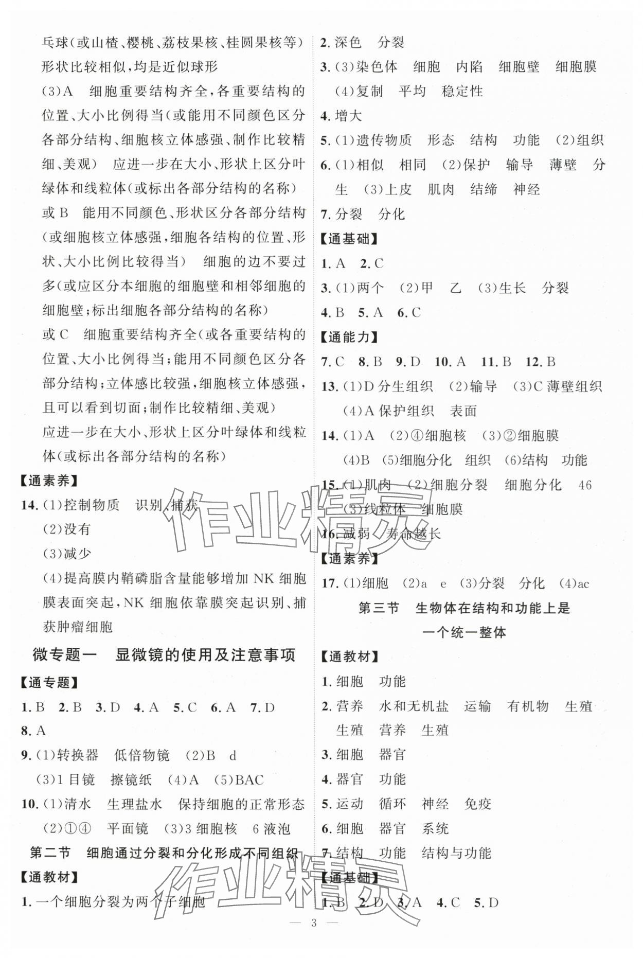 2025年優(yōu)加學(xué)案課時通七年級生物上冊濟(jì)南版 第3頁