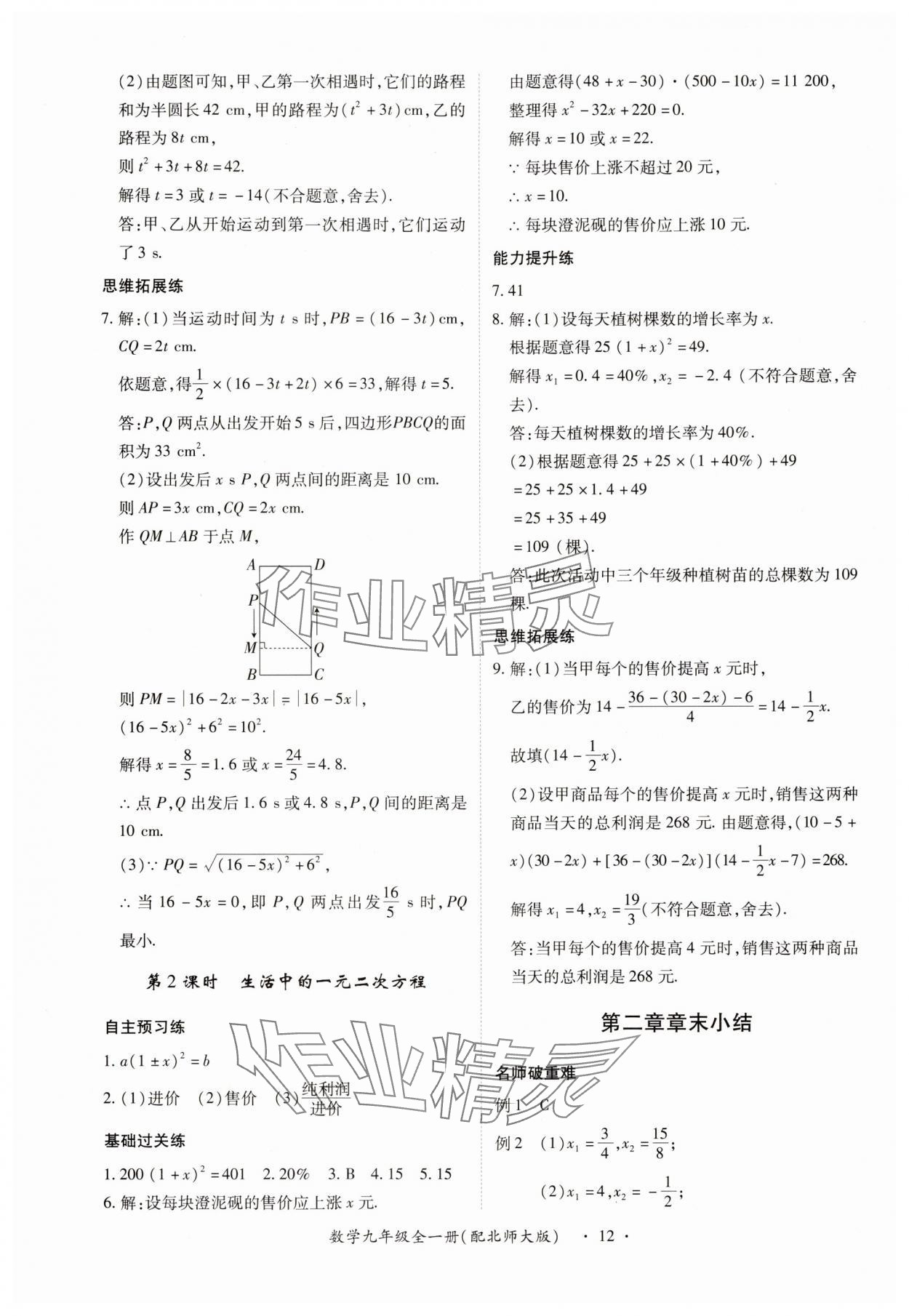 2025年一課一練創新練習九年級數學全一冊北師大版 第12頁