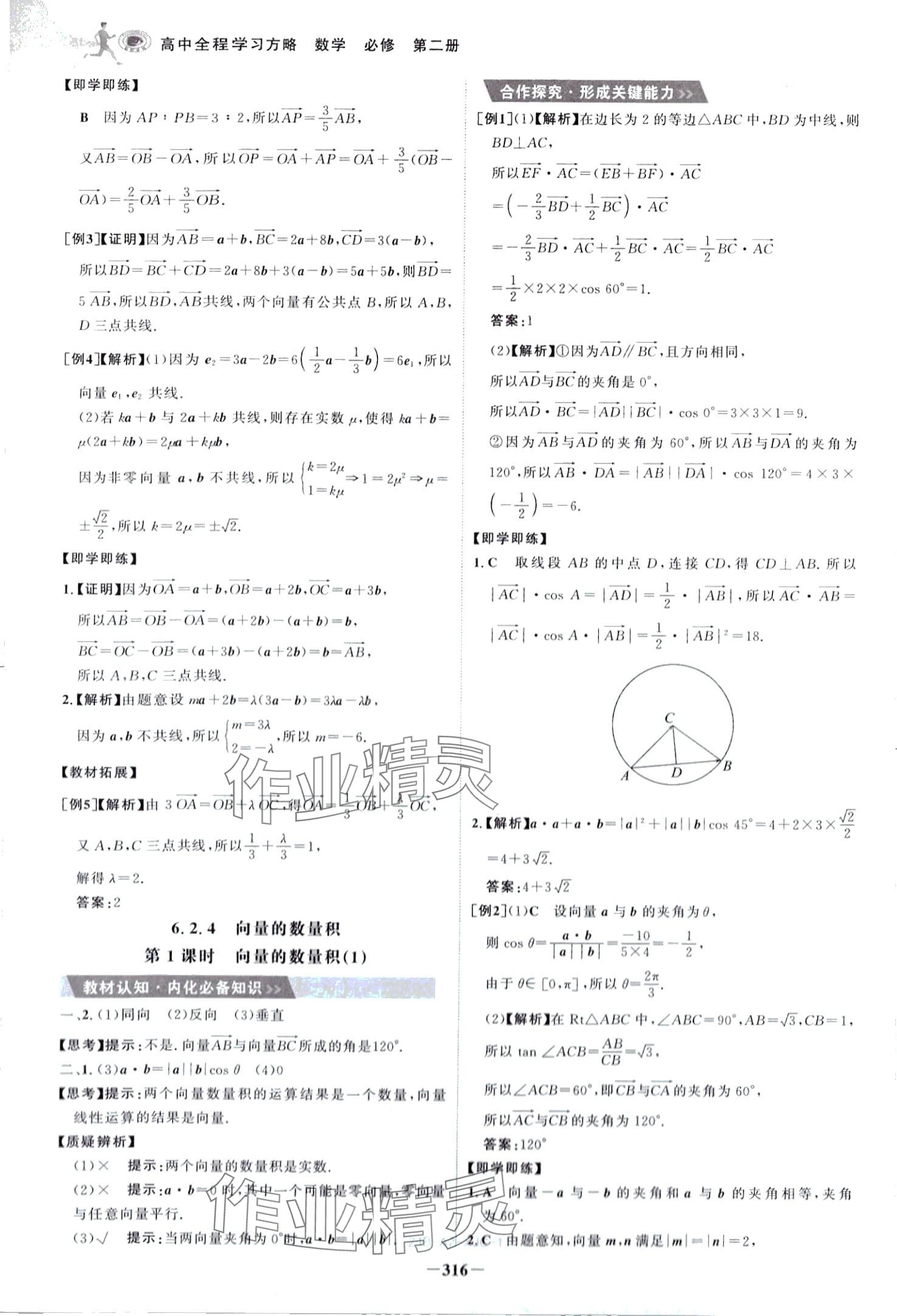 2024年世紀(jì)金榜高中全程學(xué)習(xí)方略高中數(shù)學(xué)必修第二冊(cè)人教版 第4頁