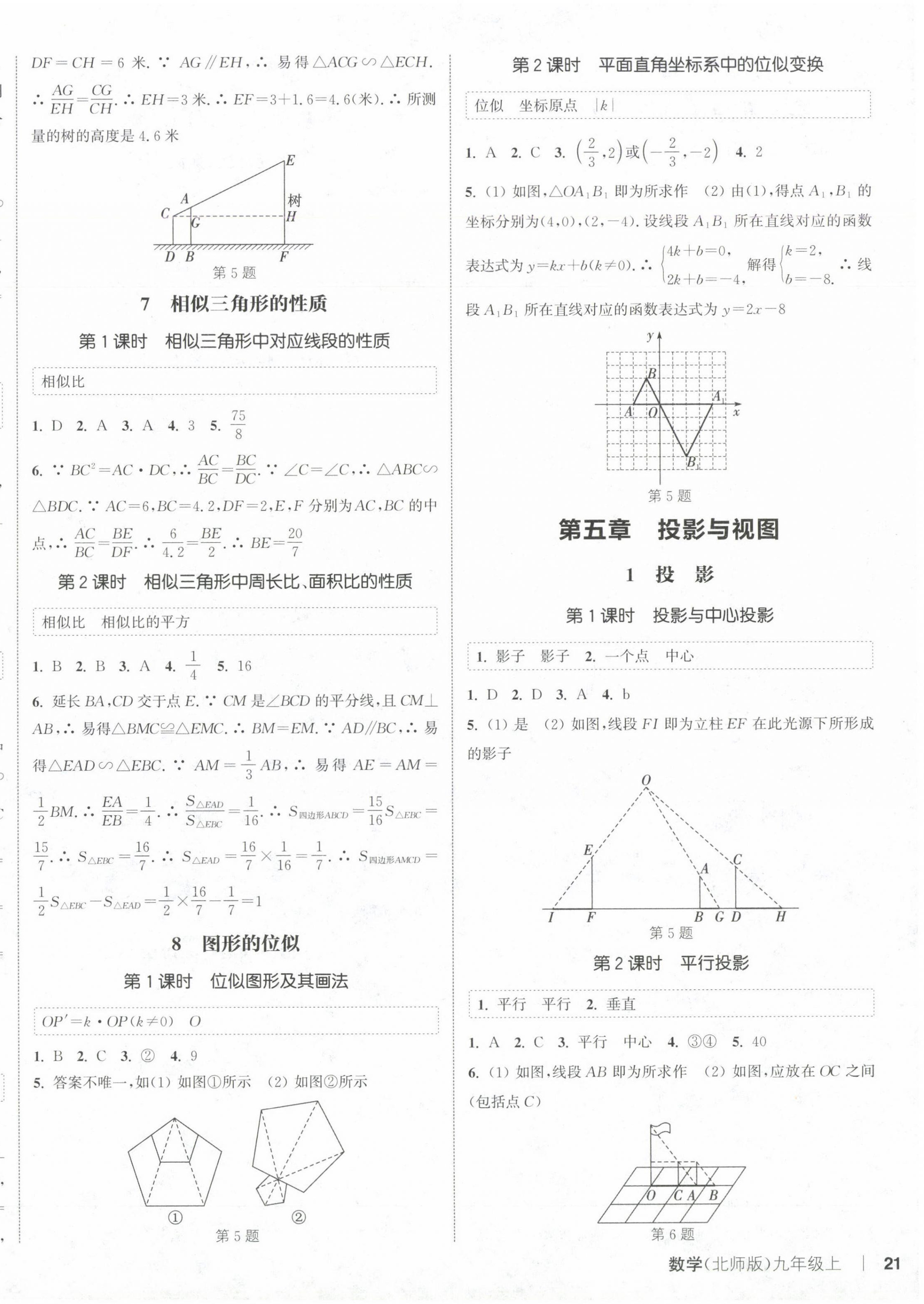 2024年通城學(xué)典課時作業(yè)本九年級數(shù)學(xué)上冊北師大版 第6頁