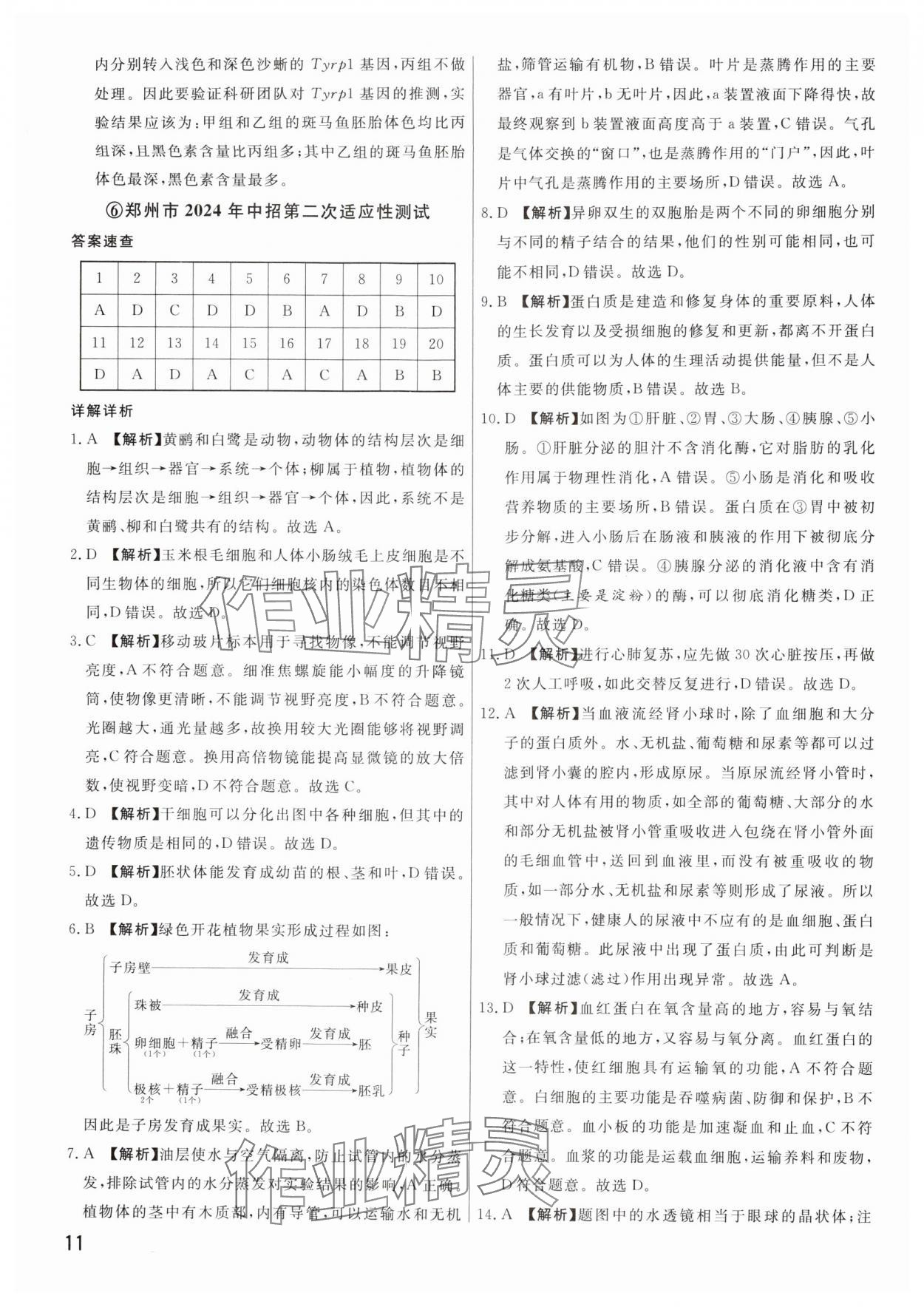 2025年新一線必刷卷生物河南專版 參考答案第11頁(yè)