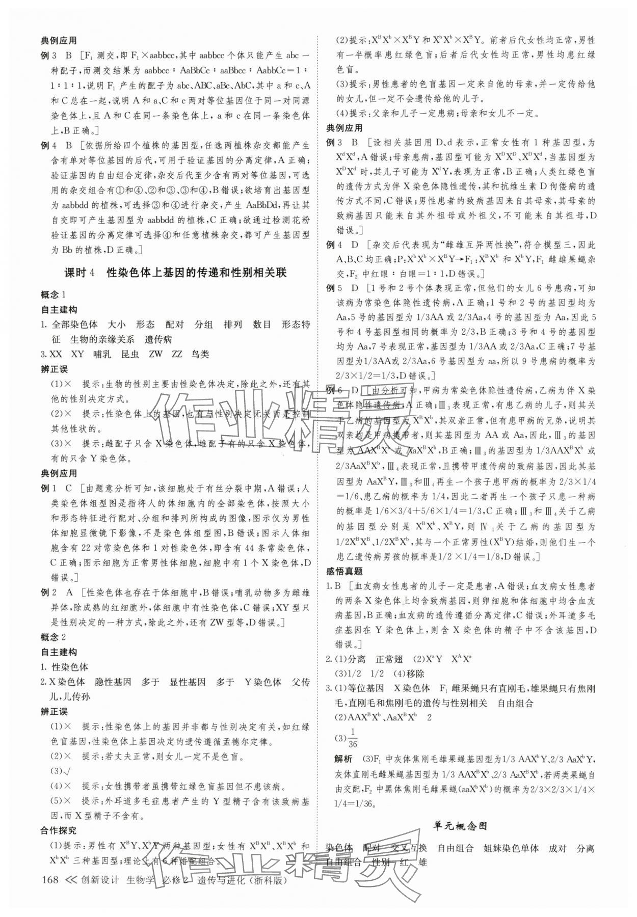 2025年創新設計高中生物必修2浙科版 第11頁