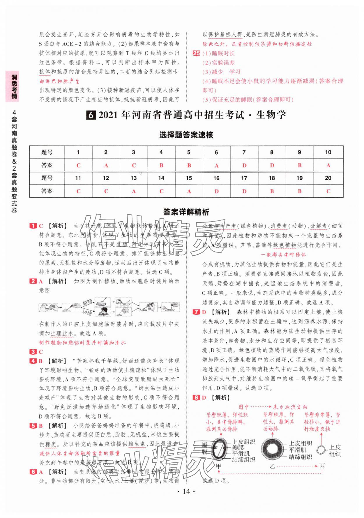 2025年鼎成中考河南中考真題匯編生物中考&nbsp;第14頁(yè)