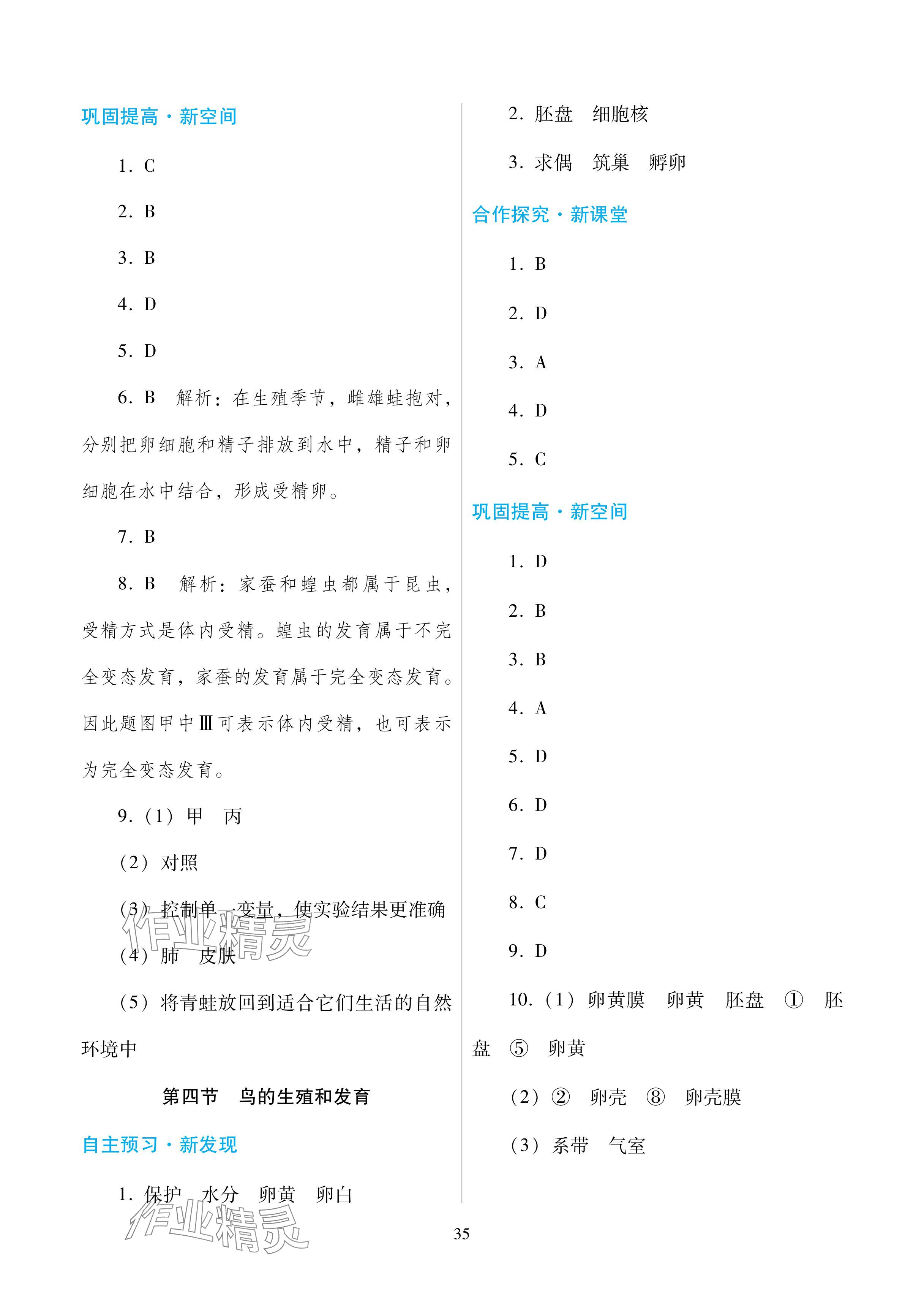 2024年南方新課堂金牌學案八年級生物下冊人教版深圳專版 參考答案第3頁