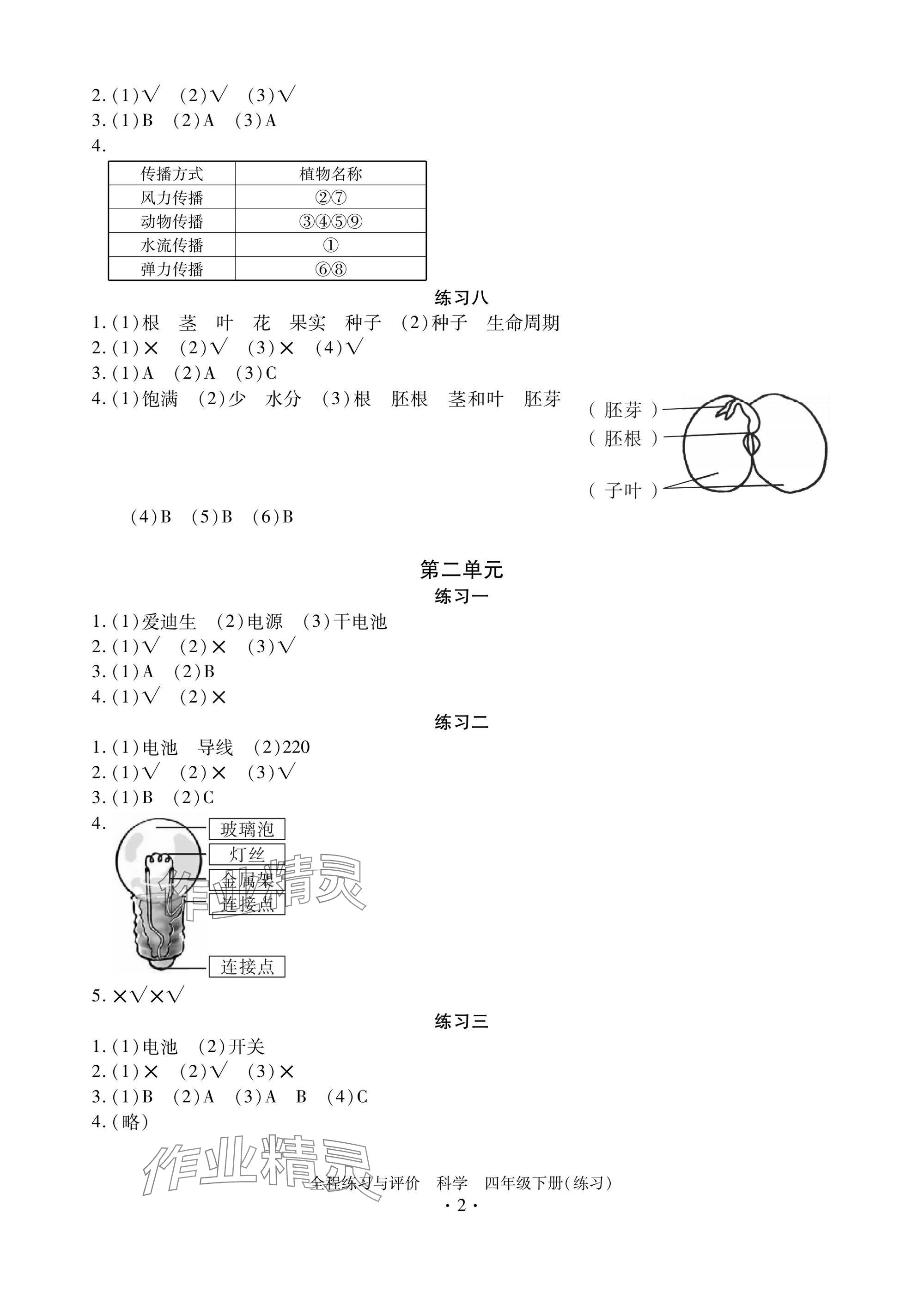 2025年全程练习与评价四年级科学下册教科版练习版 参考答案第2页