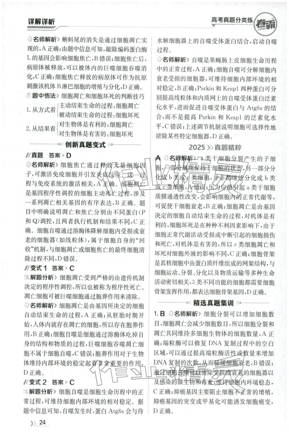 2026年卷霸高考真题分类练生物 第24页