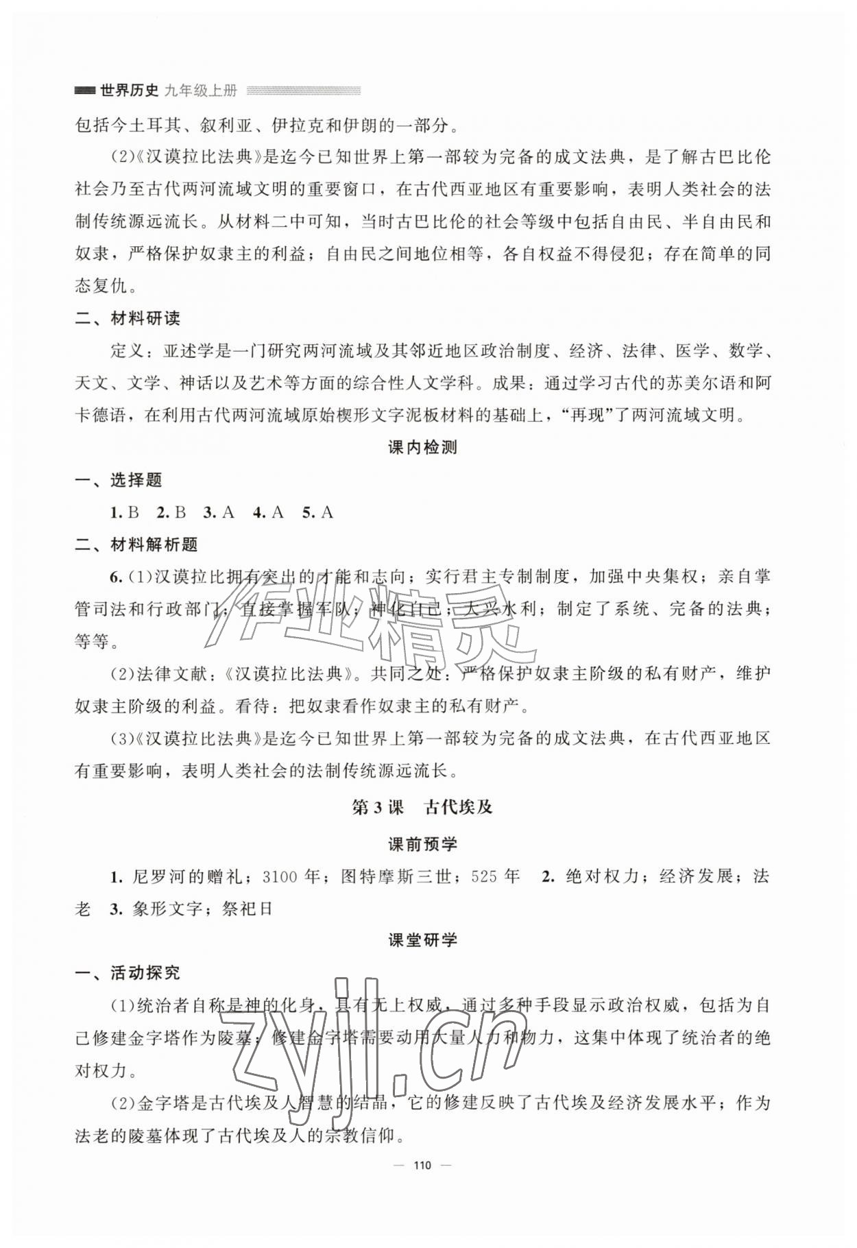 2026年课堂精练九年级历史上册人教版江苏专版&nbsp;第2页
