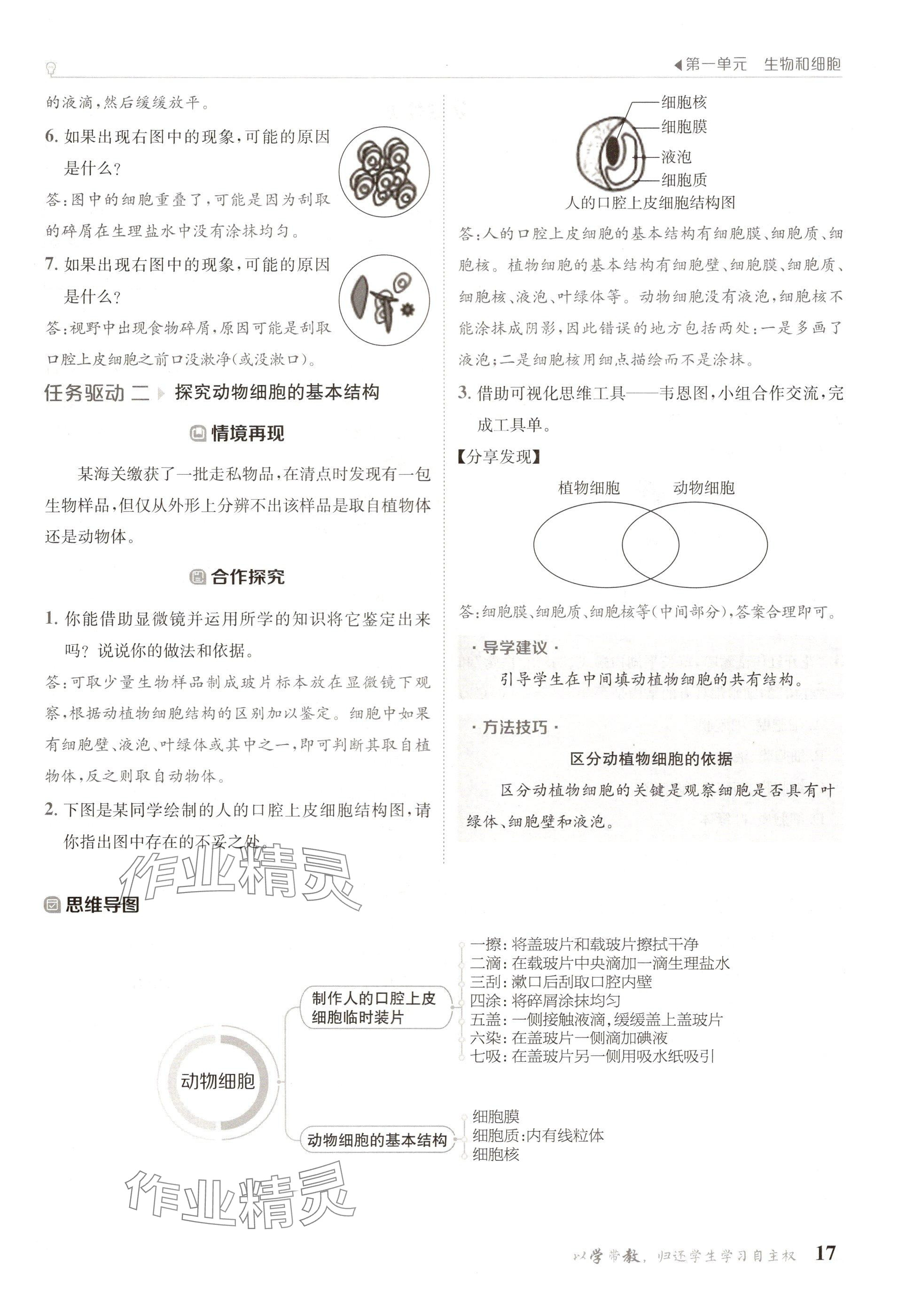 2024年金太阳导学案七年级生物上册人教版 参考答案第17页