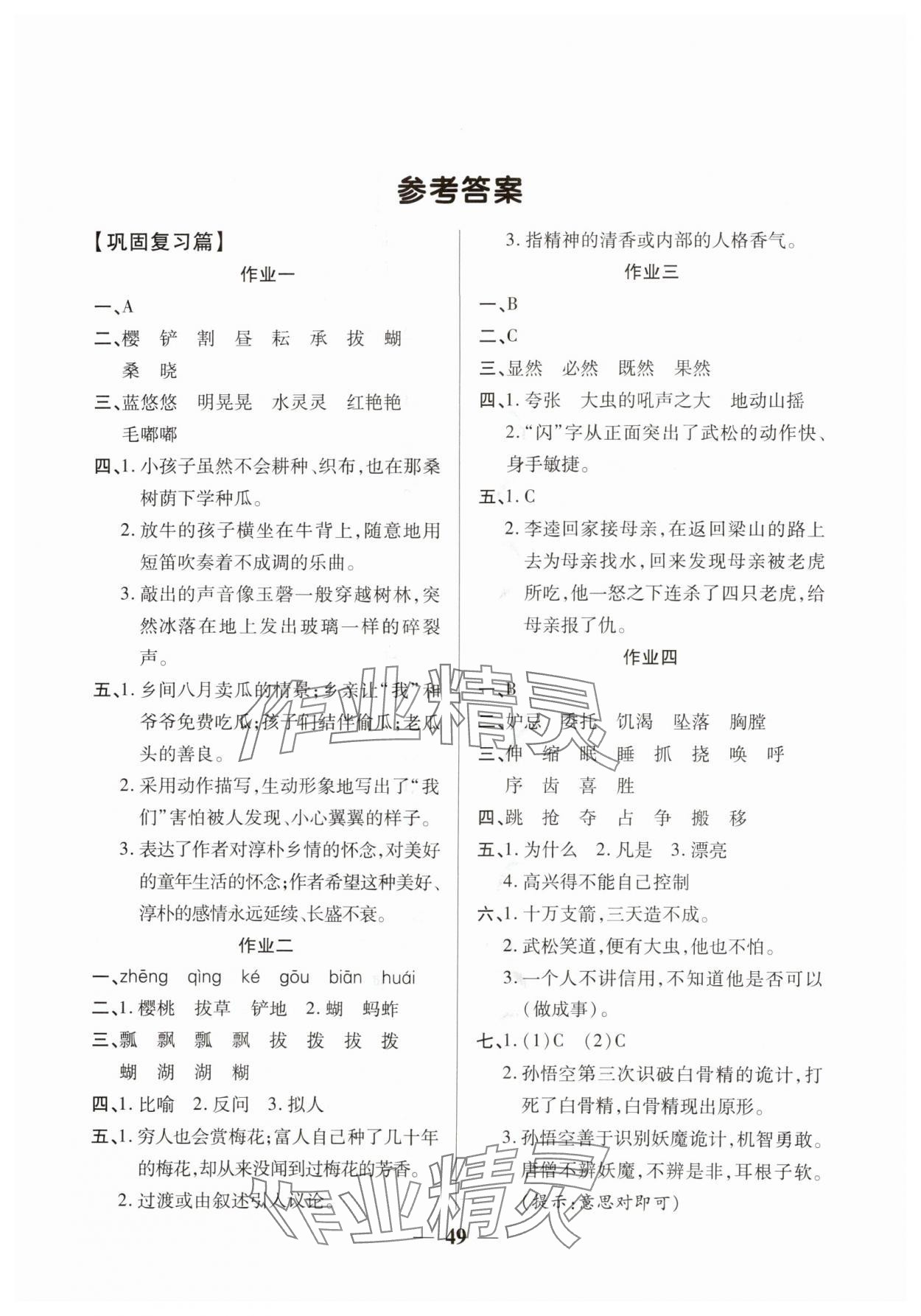 2025年金峰教育暑假作業假期計劃五年級語文人教版 第1頁