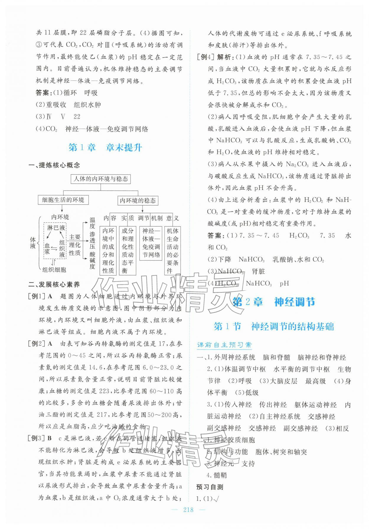 2025年高中同步測控全優設計優佳學案高中生物選擇性必修1人教版 第4頁