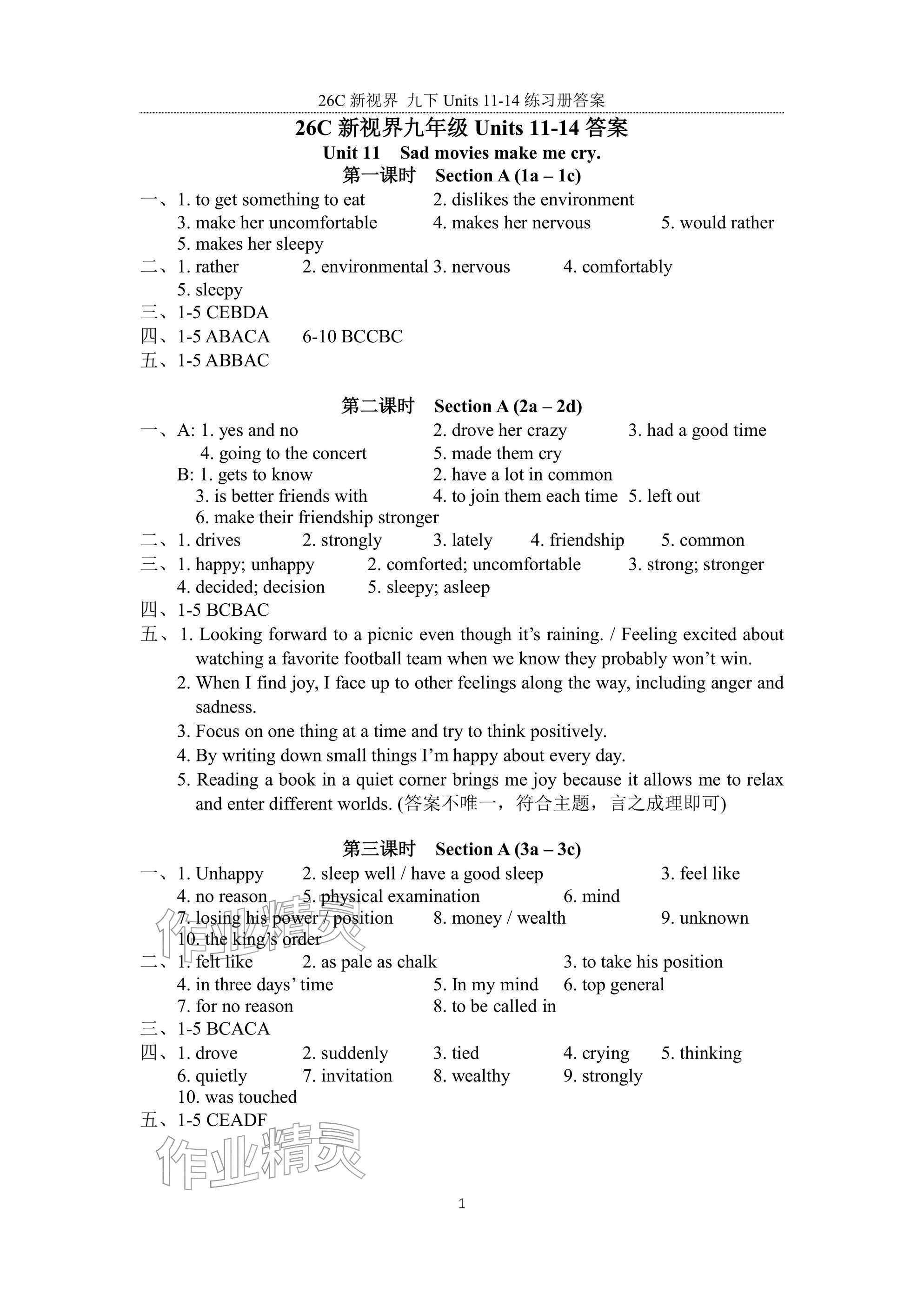 2026年新视界初中英语九年级英语下册人教版&nbsp;参考答案第1页