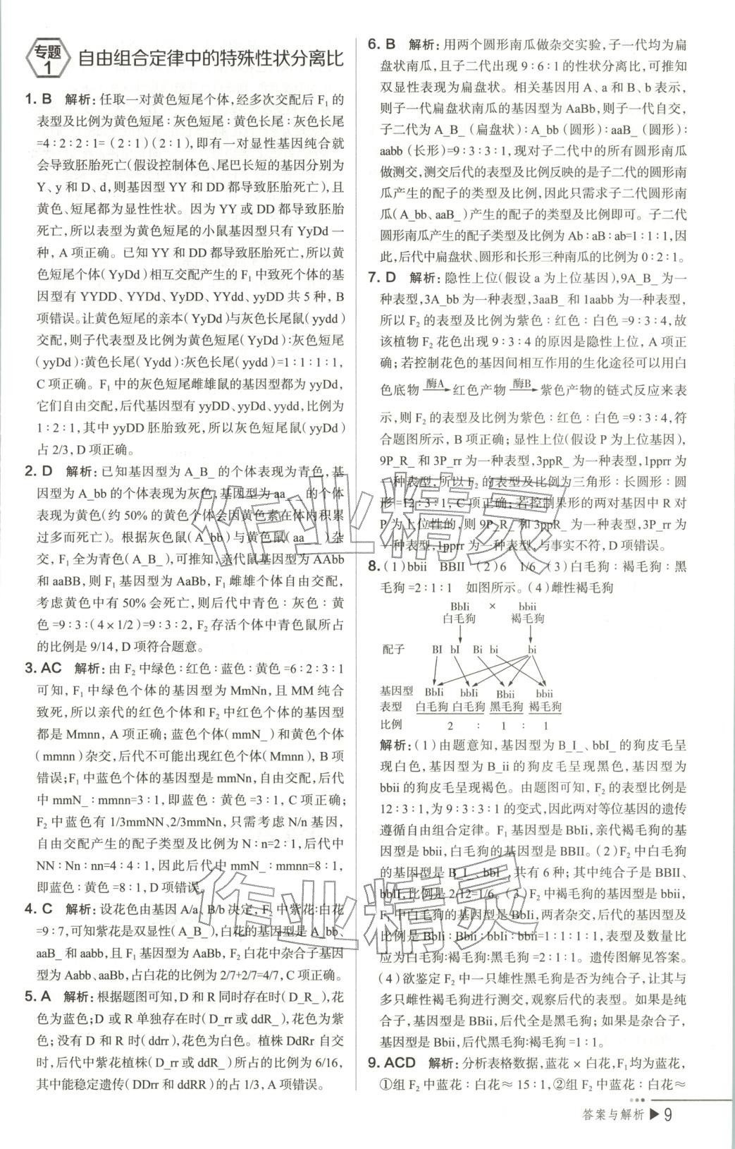2026年把關(guān)題高中生物必修第二冊人教版&nbsp;第10頁
