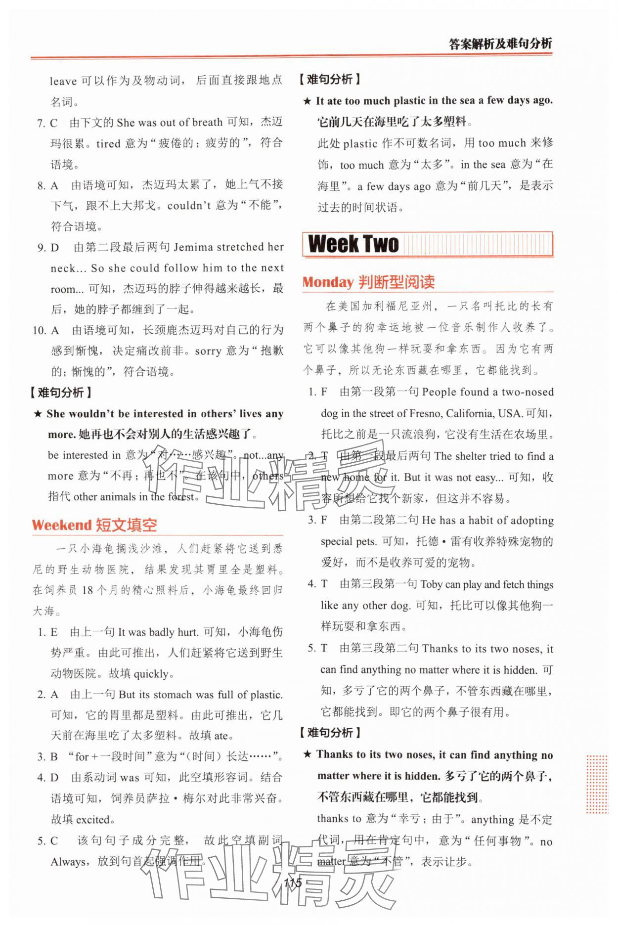 2024年快捷英語時文閱讀理解六年級英語 第3頁