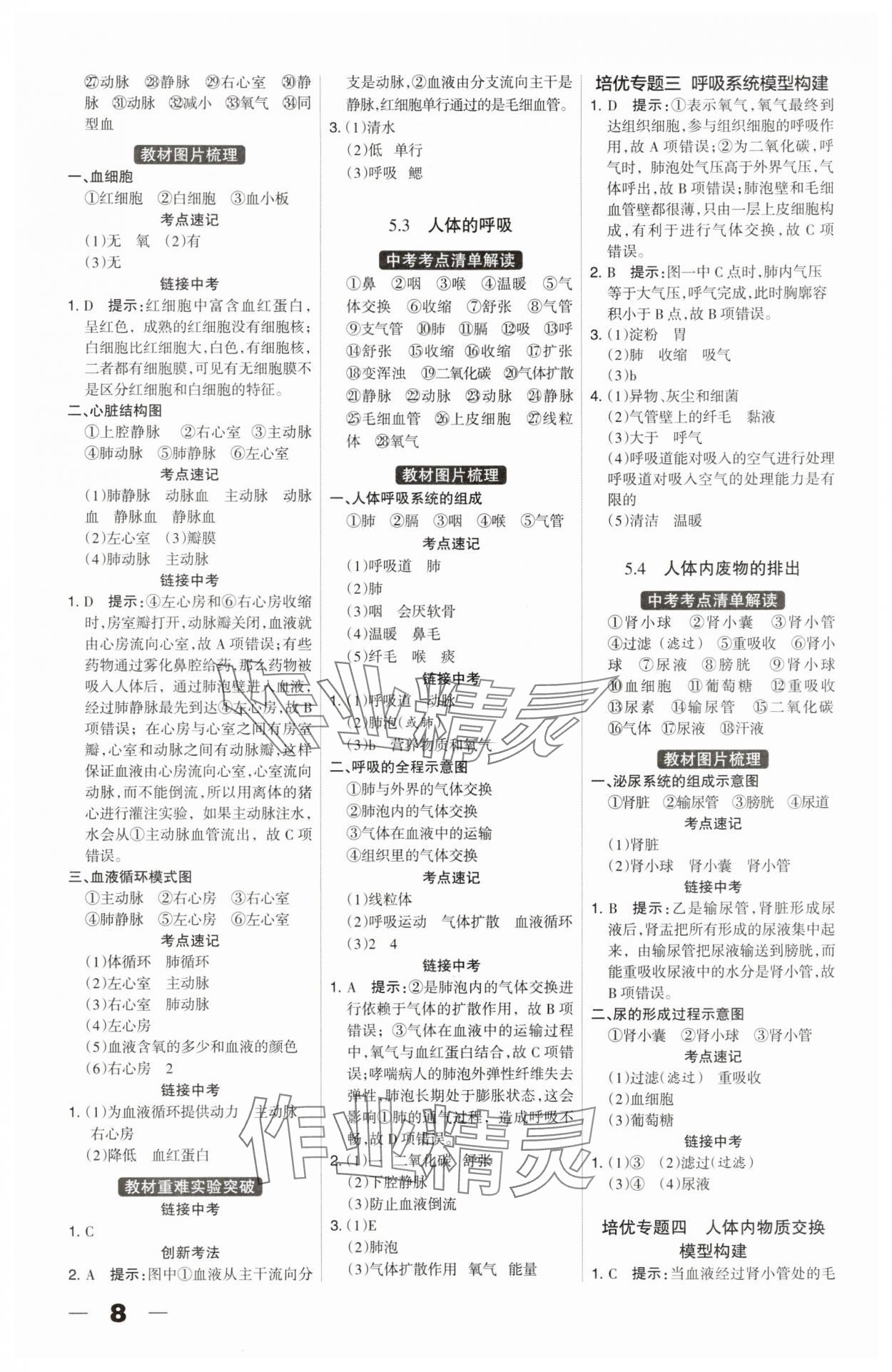 2025年河北中考总动员生物&nbsp;参考答案第8页