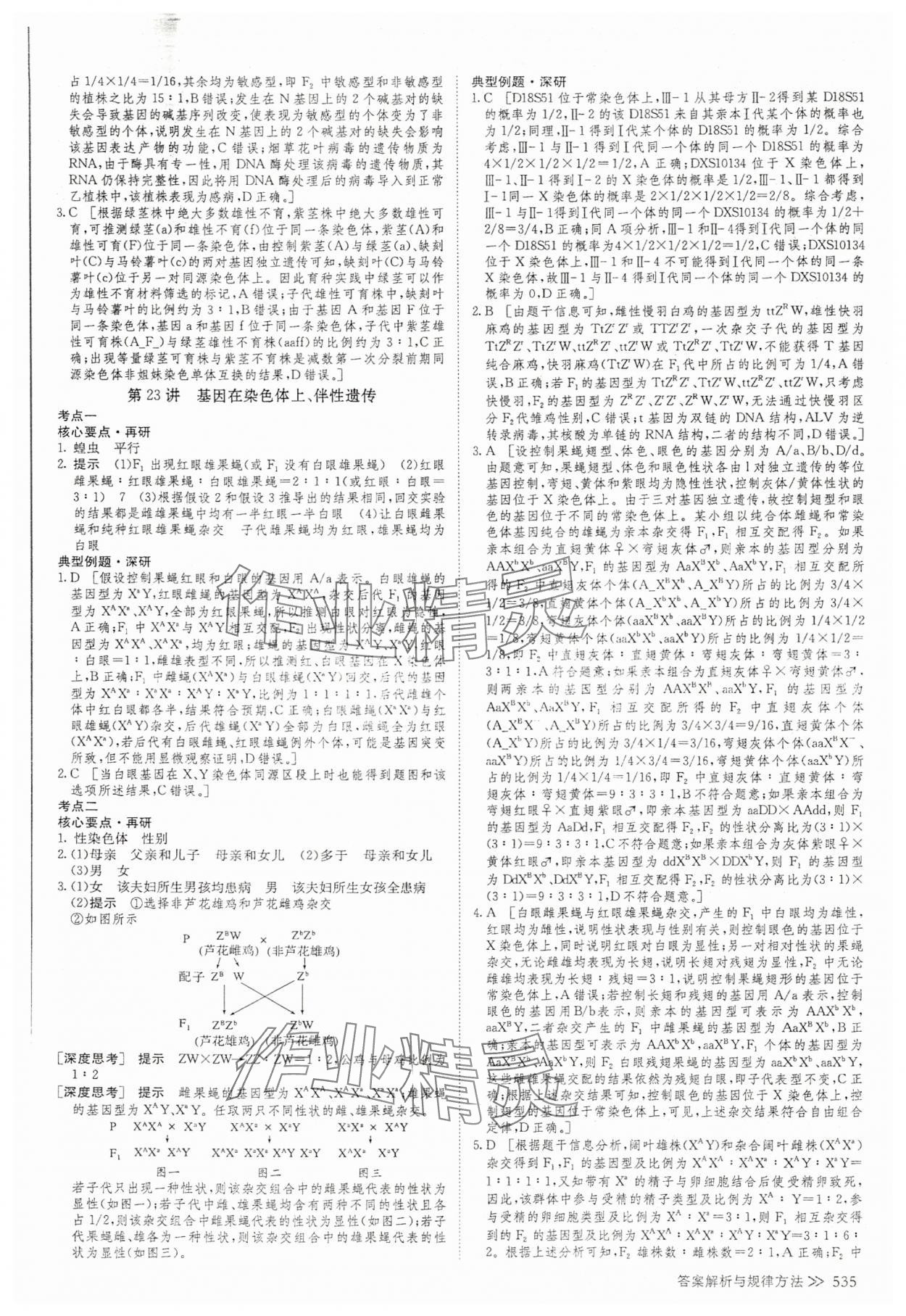 2025年創新設計高考總復習高中生物 參考答案第29頁